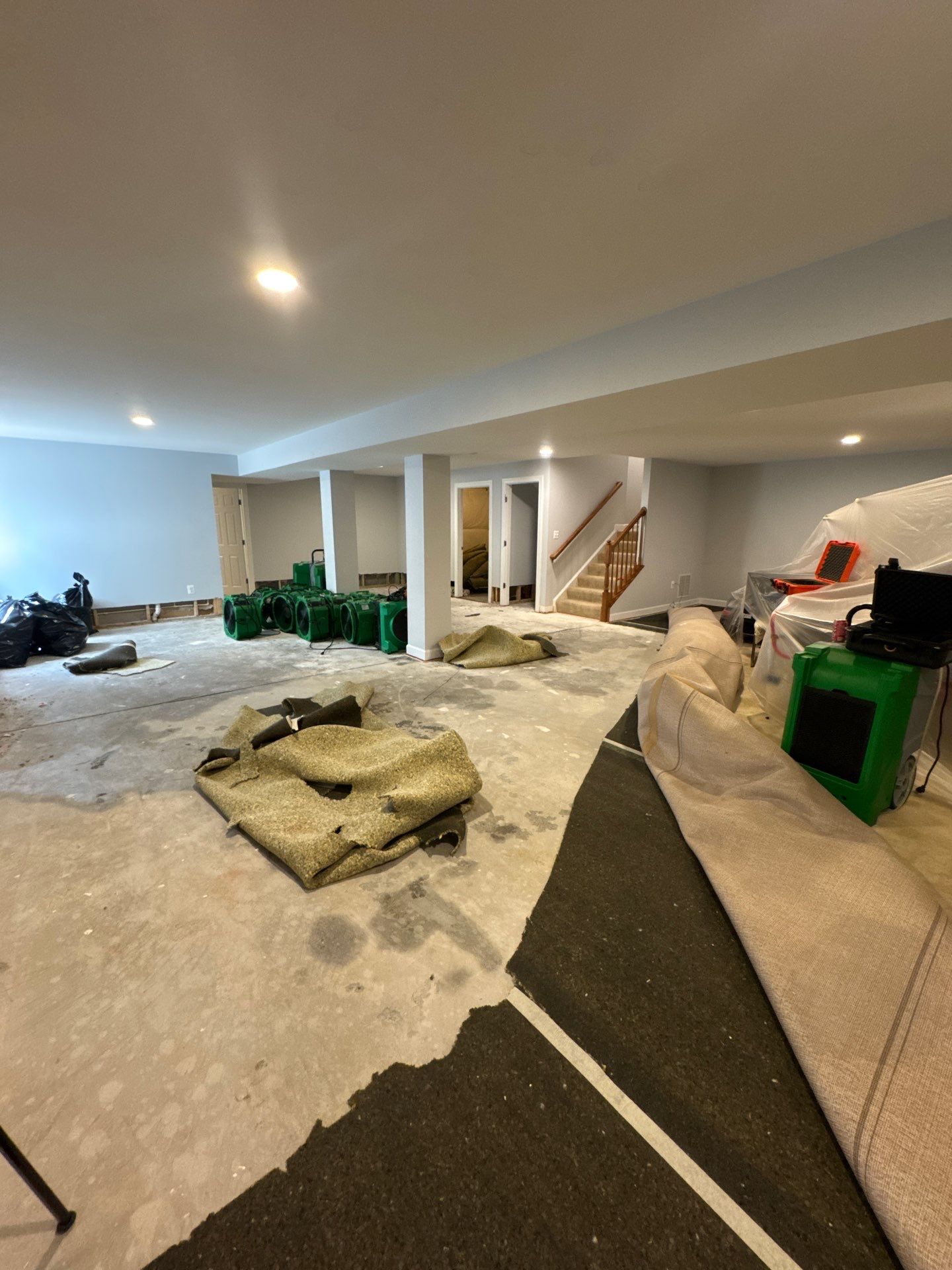 Structural framing exposed and dried during active mold remediation work in Aldie.