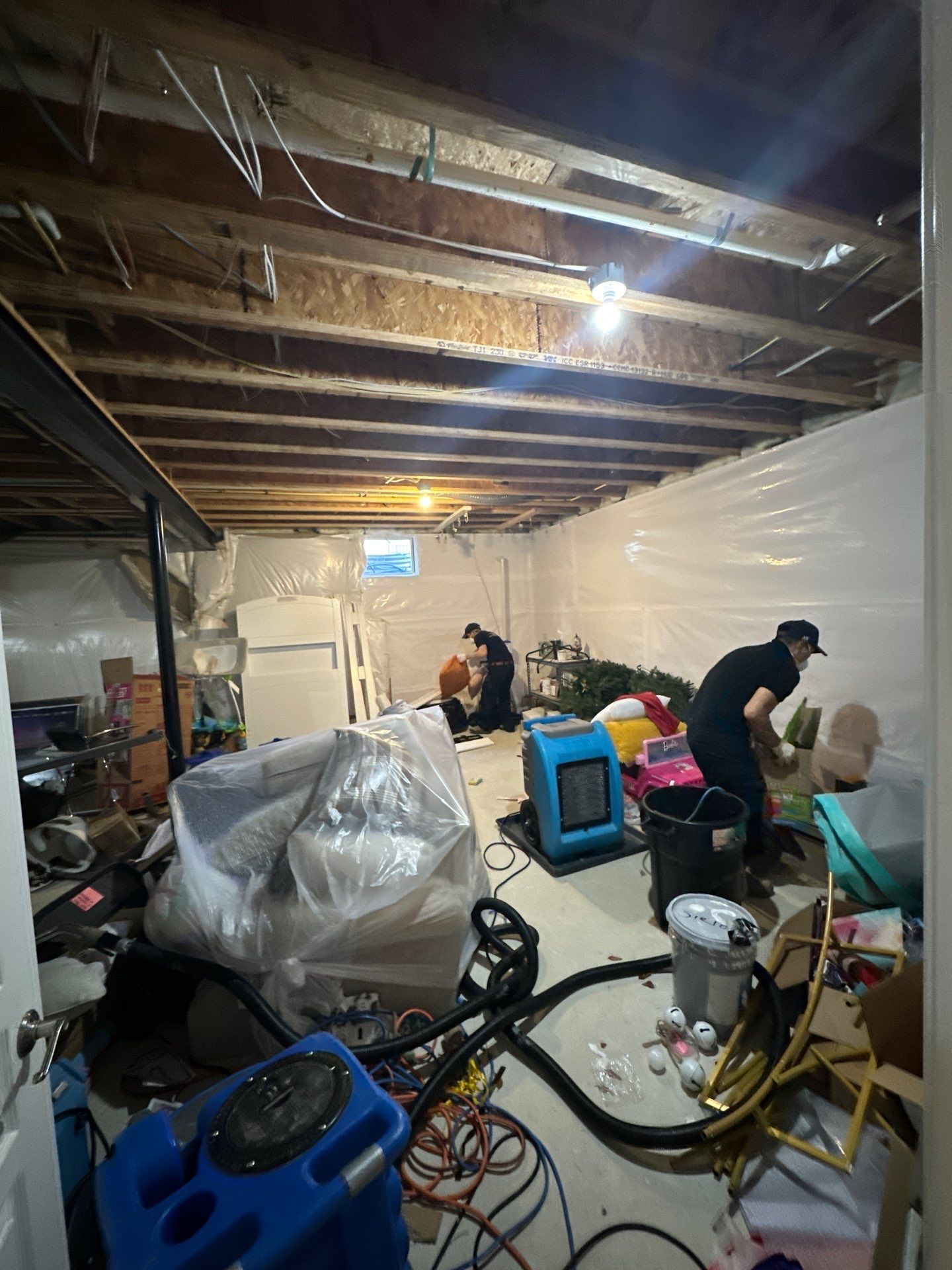 Standing water extraction and dehumidifier placement during mold remediation in Alexandria.