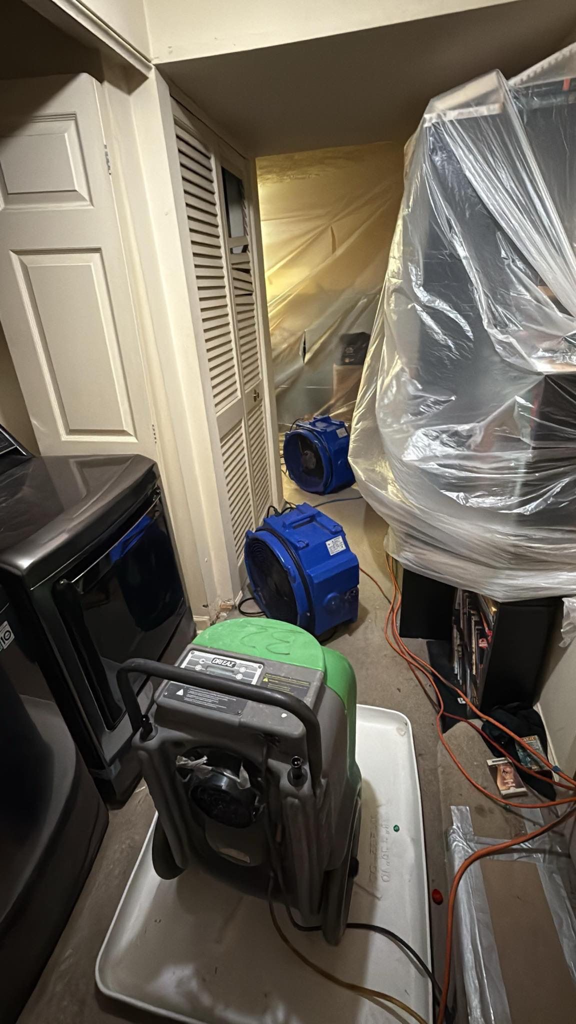 Standing water extraction underway during mold remediation in Burke.