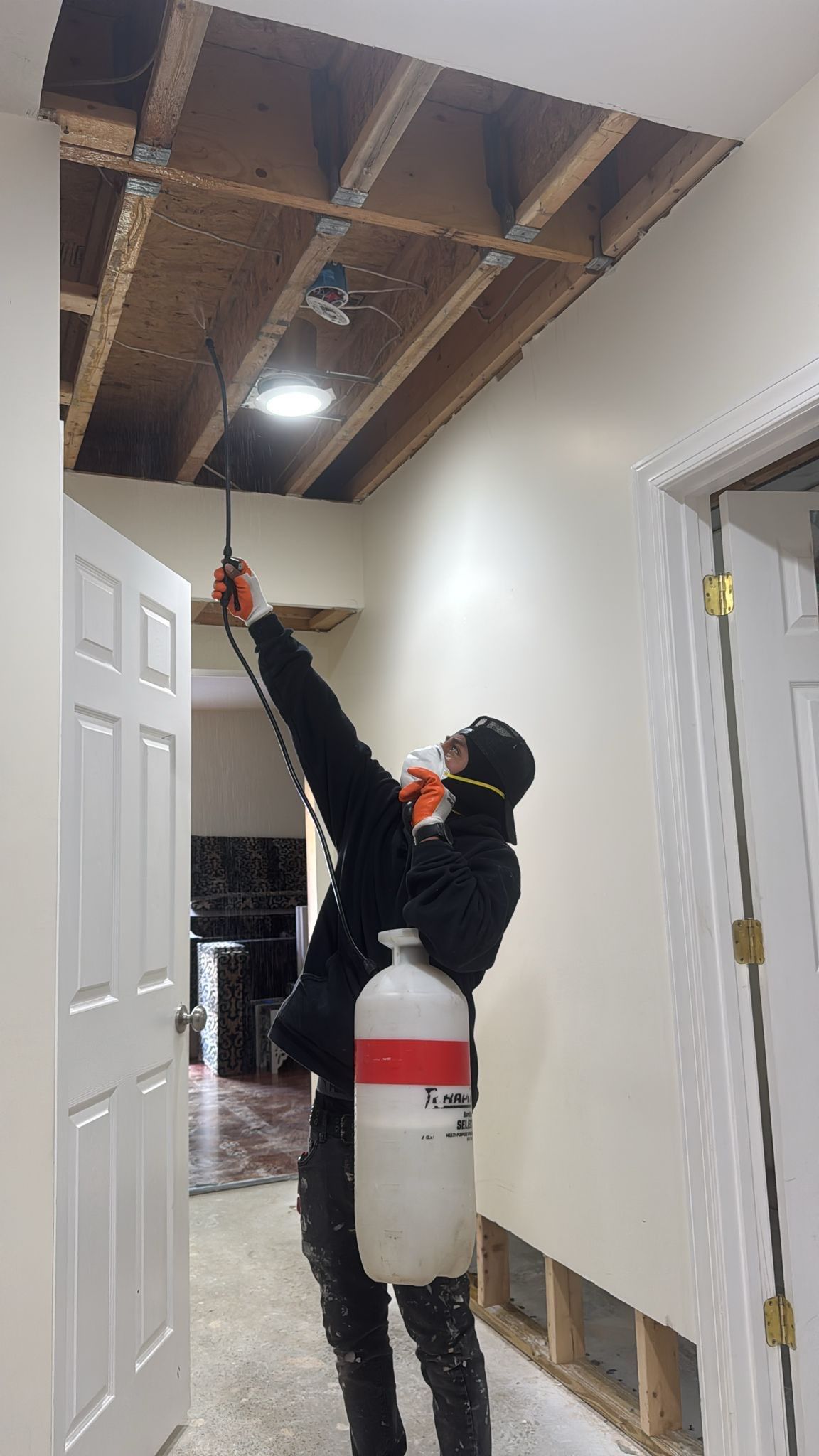 Sanitizing application in progress on affected surfaces during McLean mold remediation.