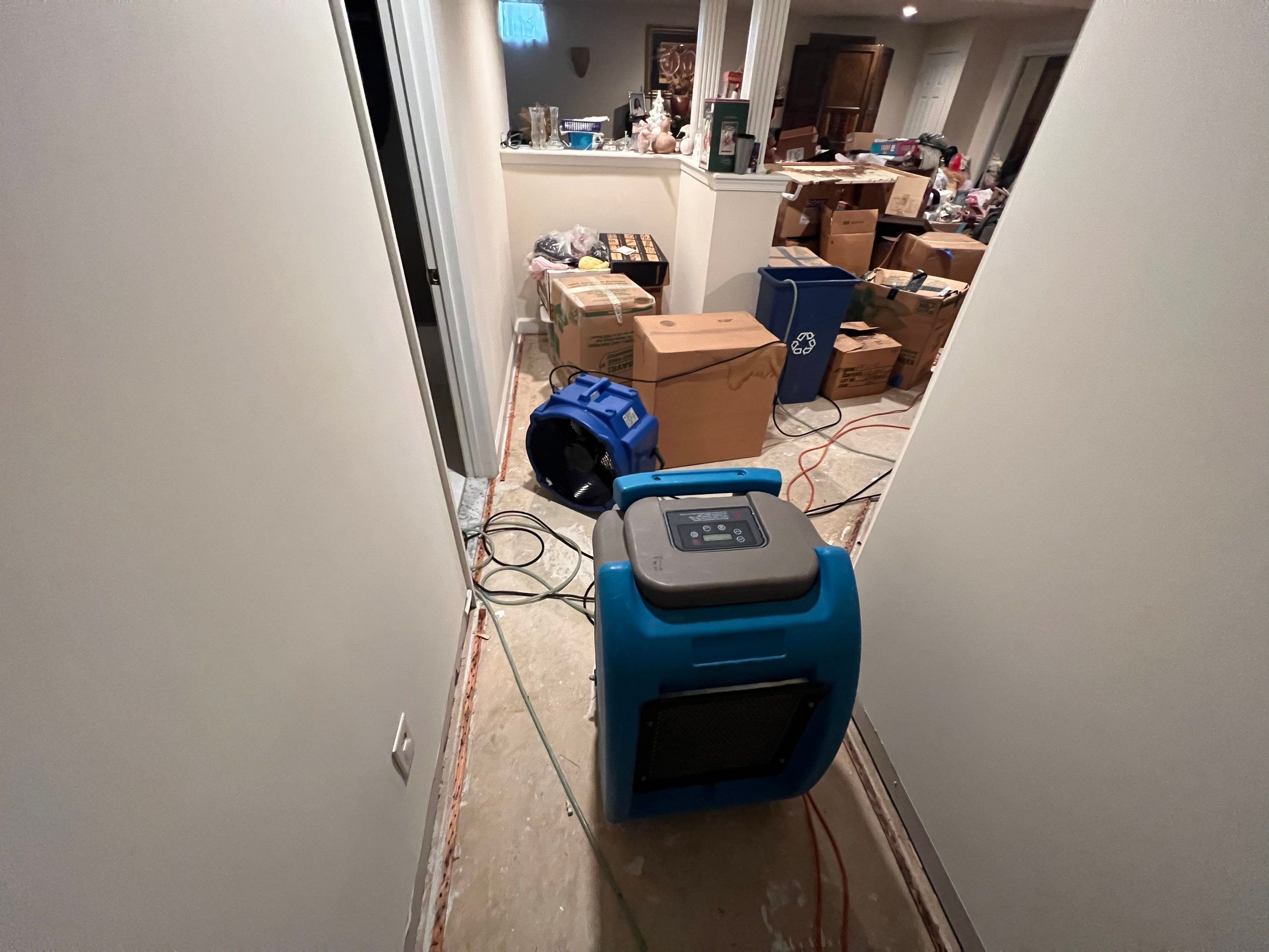 Final thermal inspection confirming moisture levels normalized after Alexandria water restoration.
