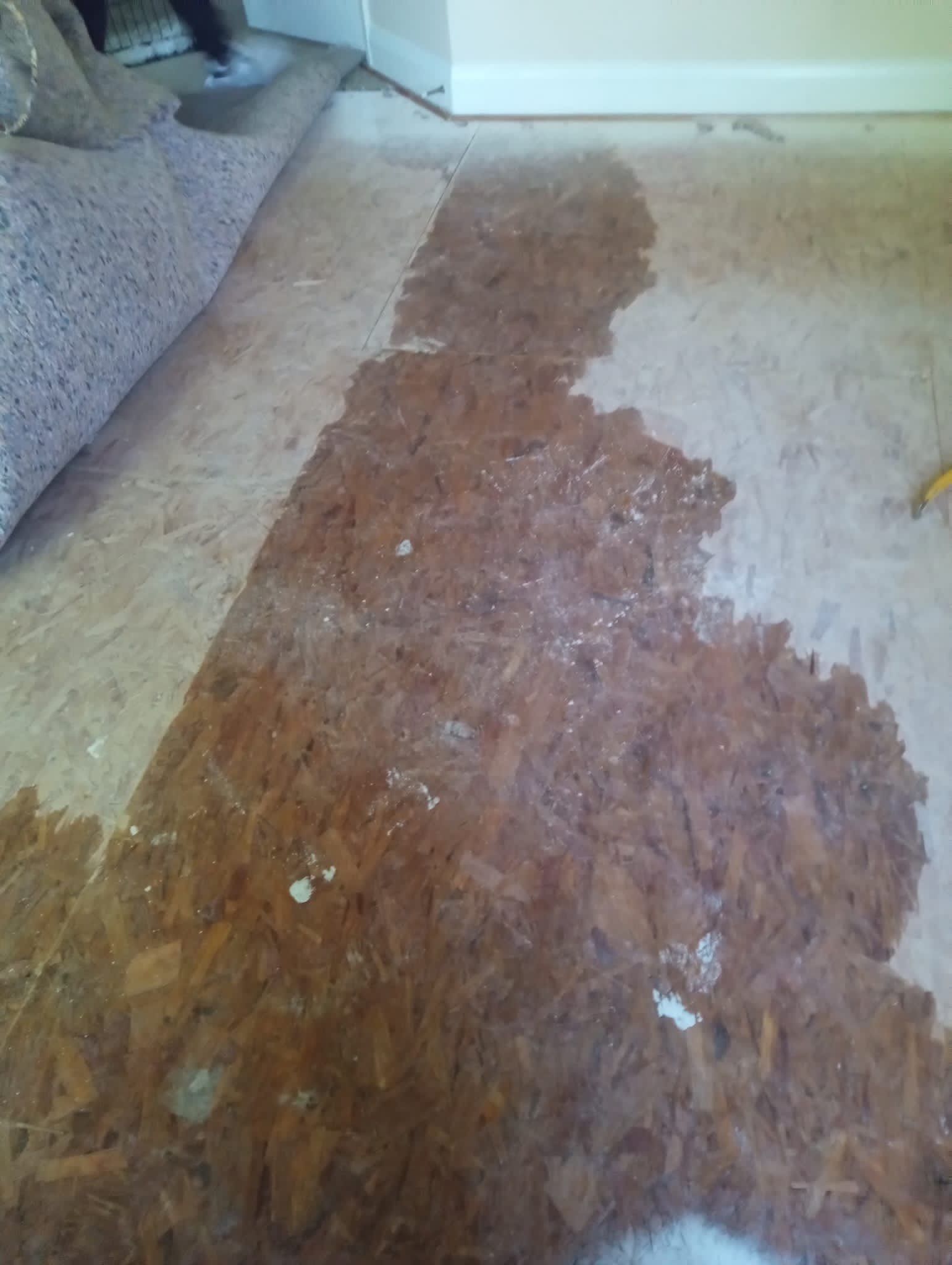 Carpet removal and subfloor inspection underway in Arlington water damage restoration project.