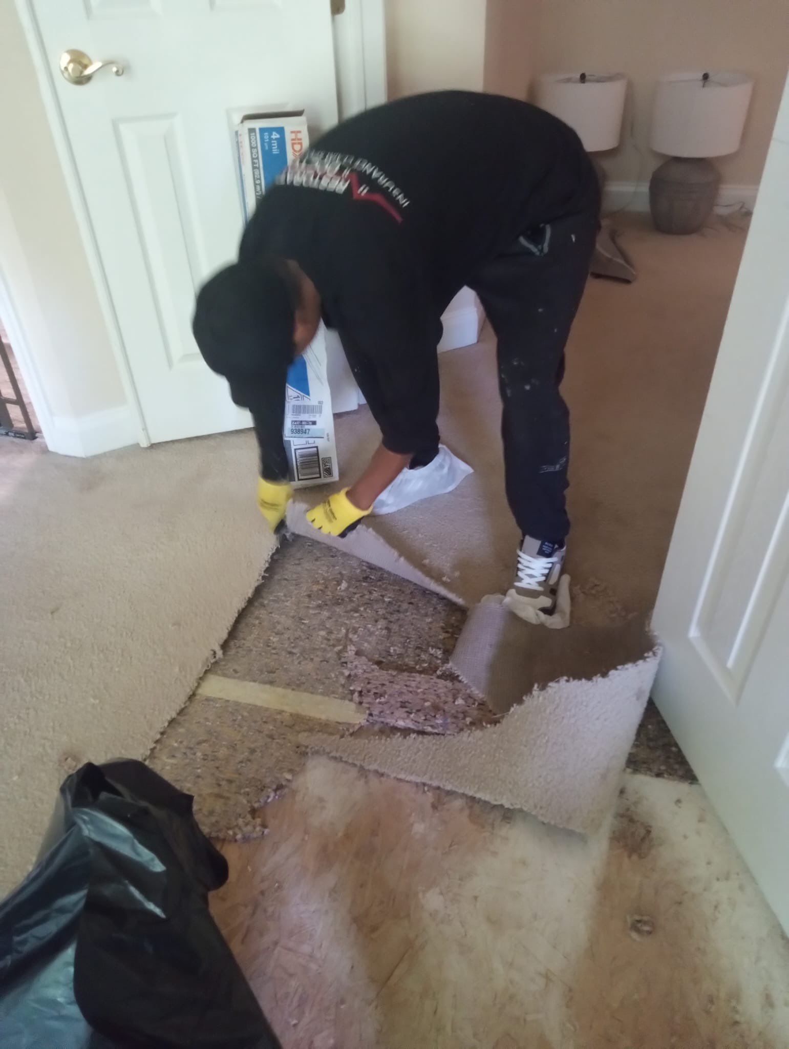 Treated subfloor and structural framing during Arlington mold remediation and drying phase.