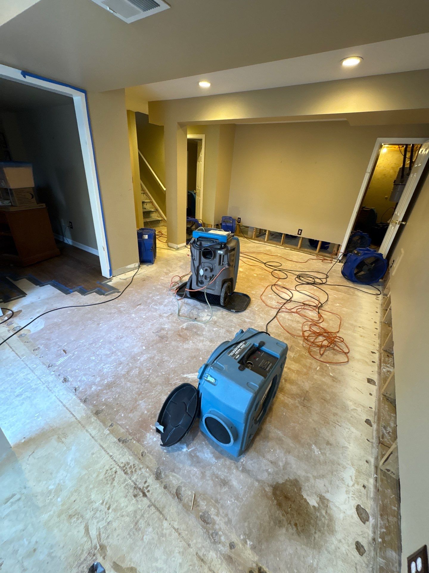 Baseboard reinstallation and containment removal following completion of mold remediation in Gainesville.