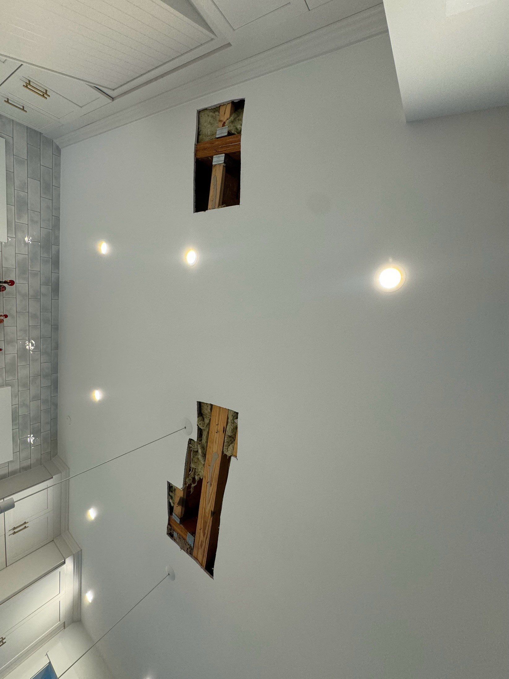 Dried ceiling cavity after water removal and mold remediation work completed.
