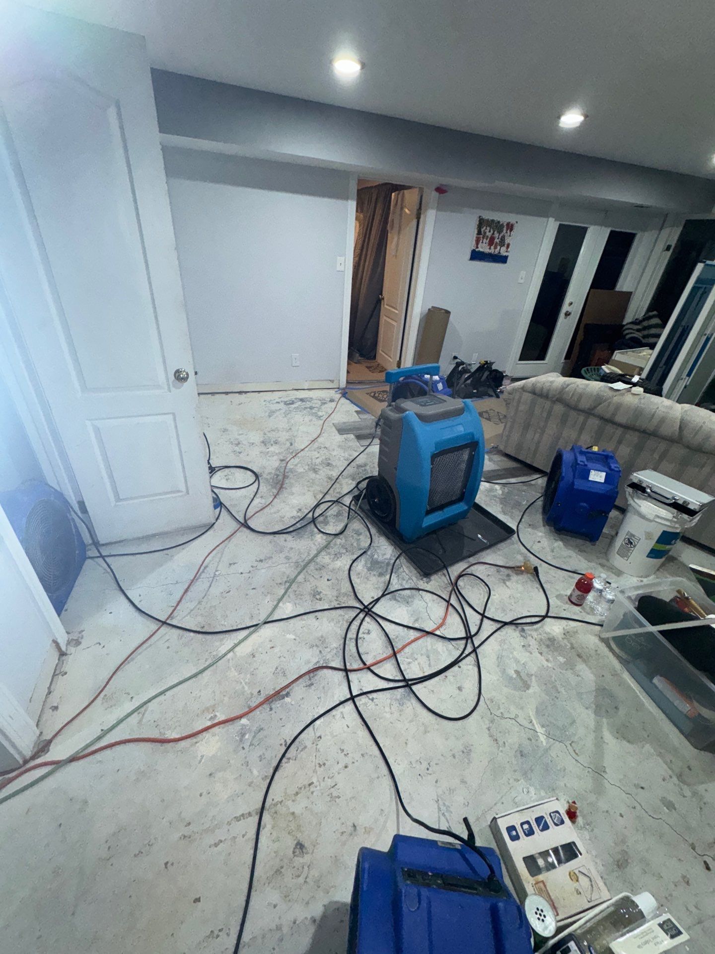 Flooring assessment during mold remediation, documenting carpet and subfloor condition before remediation proceeds.