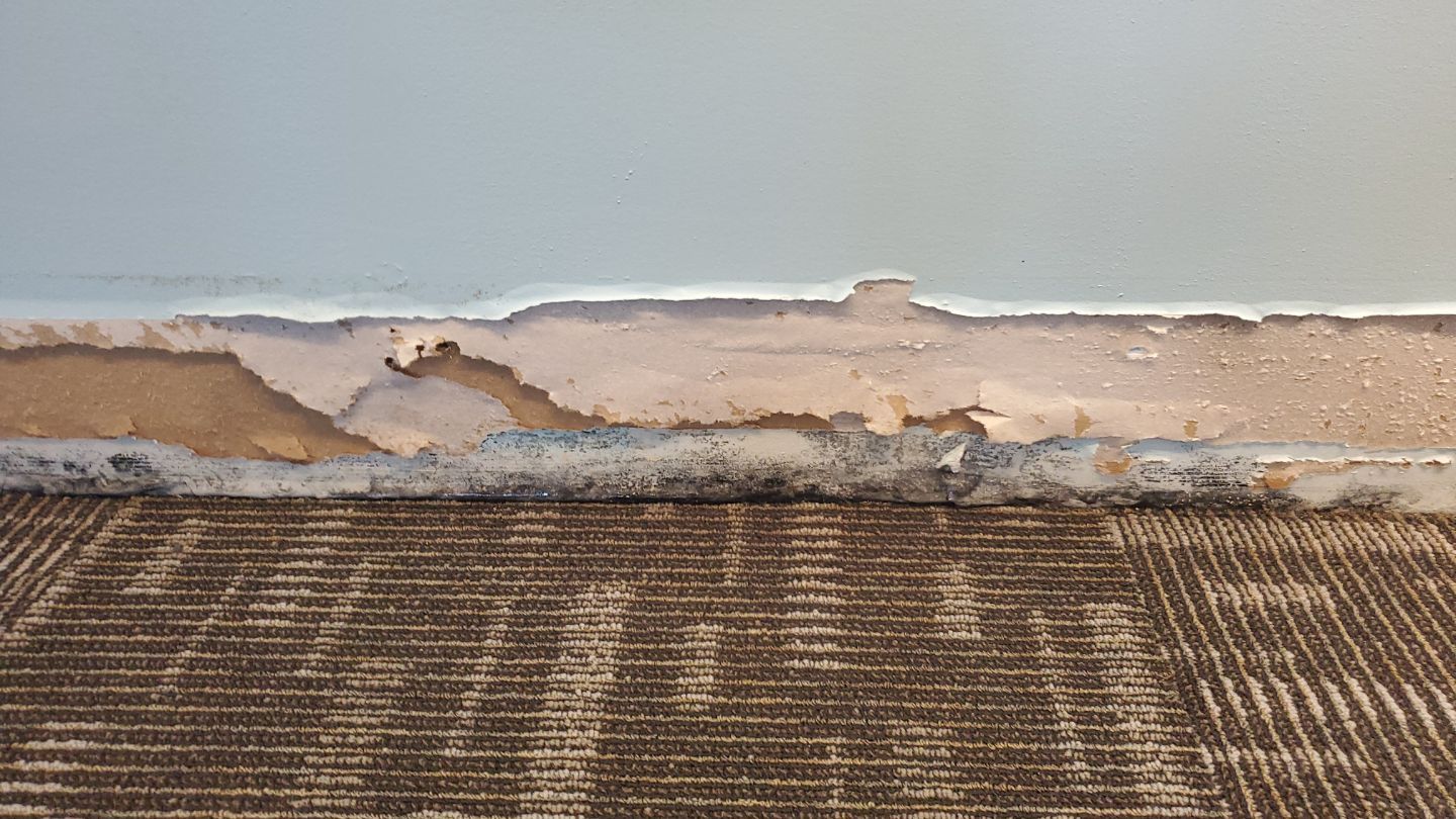 Standing water extraction underway in Arlington water damage restoration, dehumidifier positioned for moisture removal.
