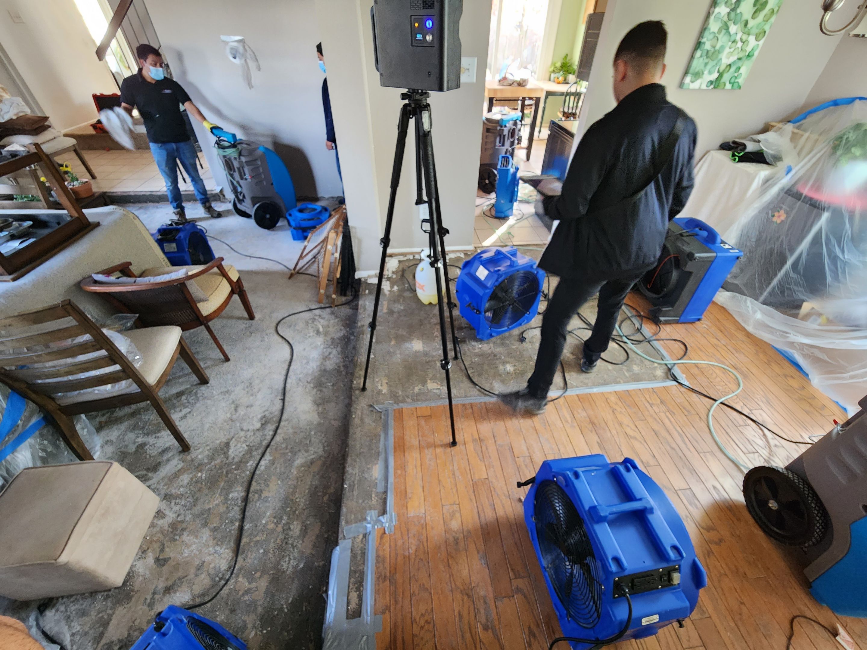 Structural drying phase with dehumidifiers and air movers positioned throughout affected interior space.