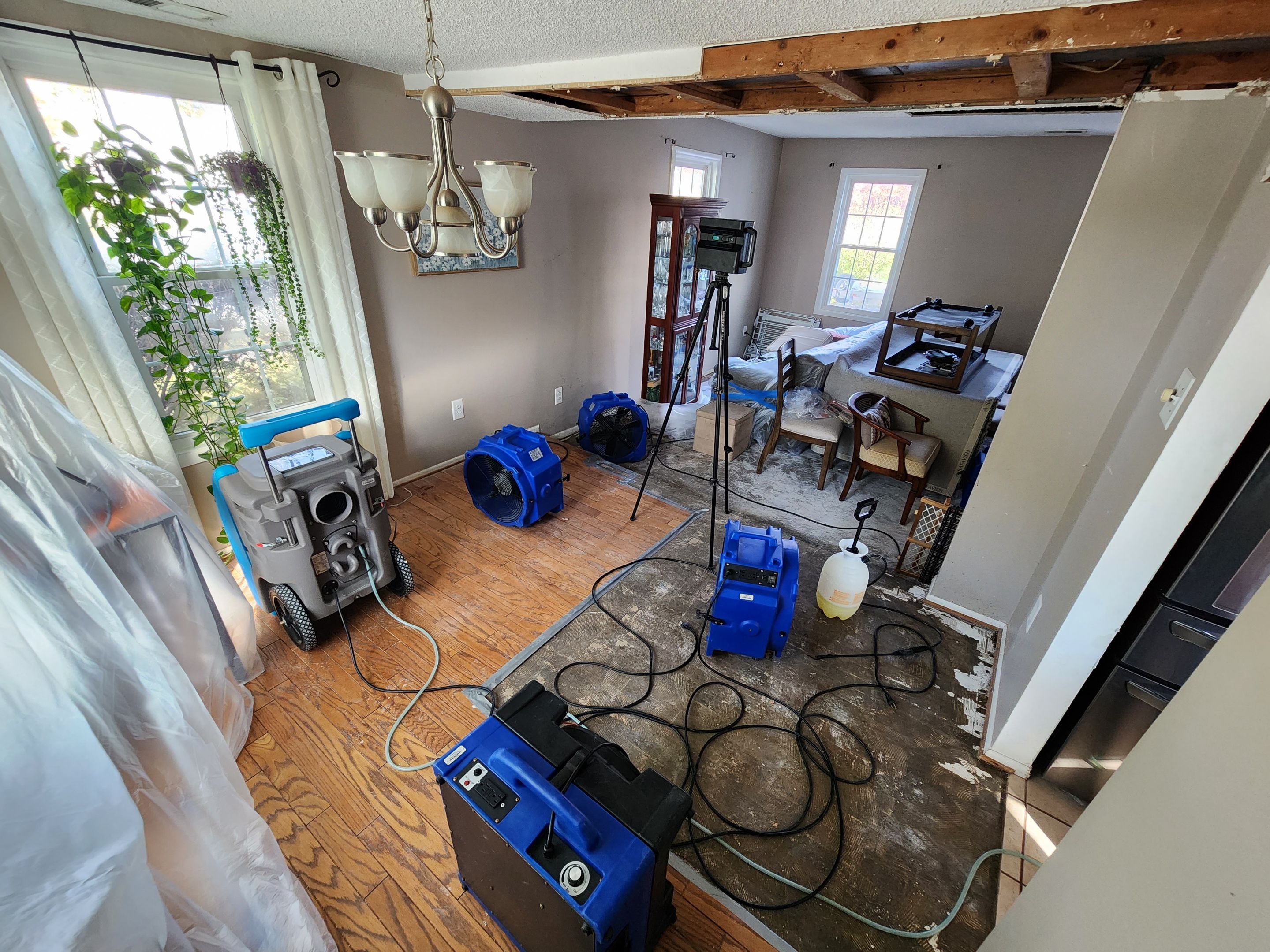 Final-stage water restoration in Sterling with drying systems in place, preparation for sanitization complete.