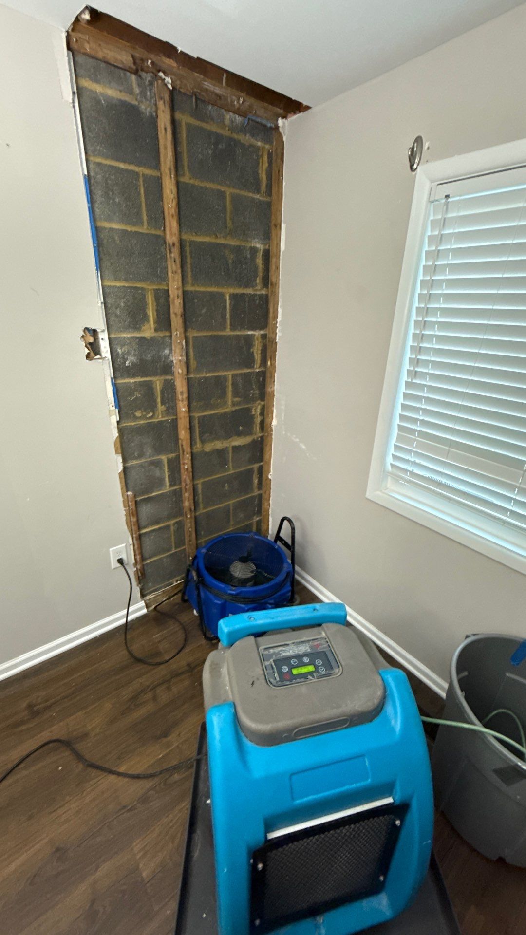 Dehumidification units and air movers working in coordination to manage moisture in water-damaged areas.