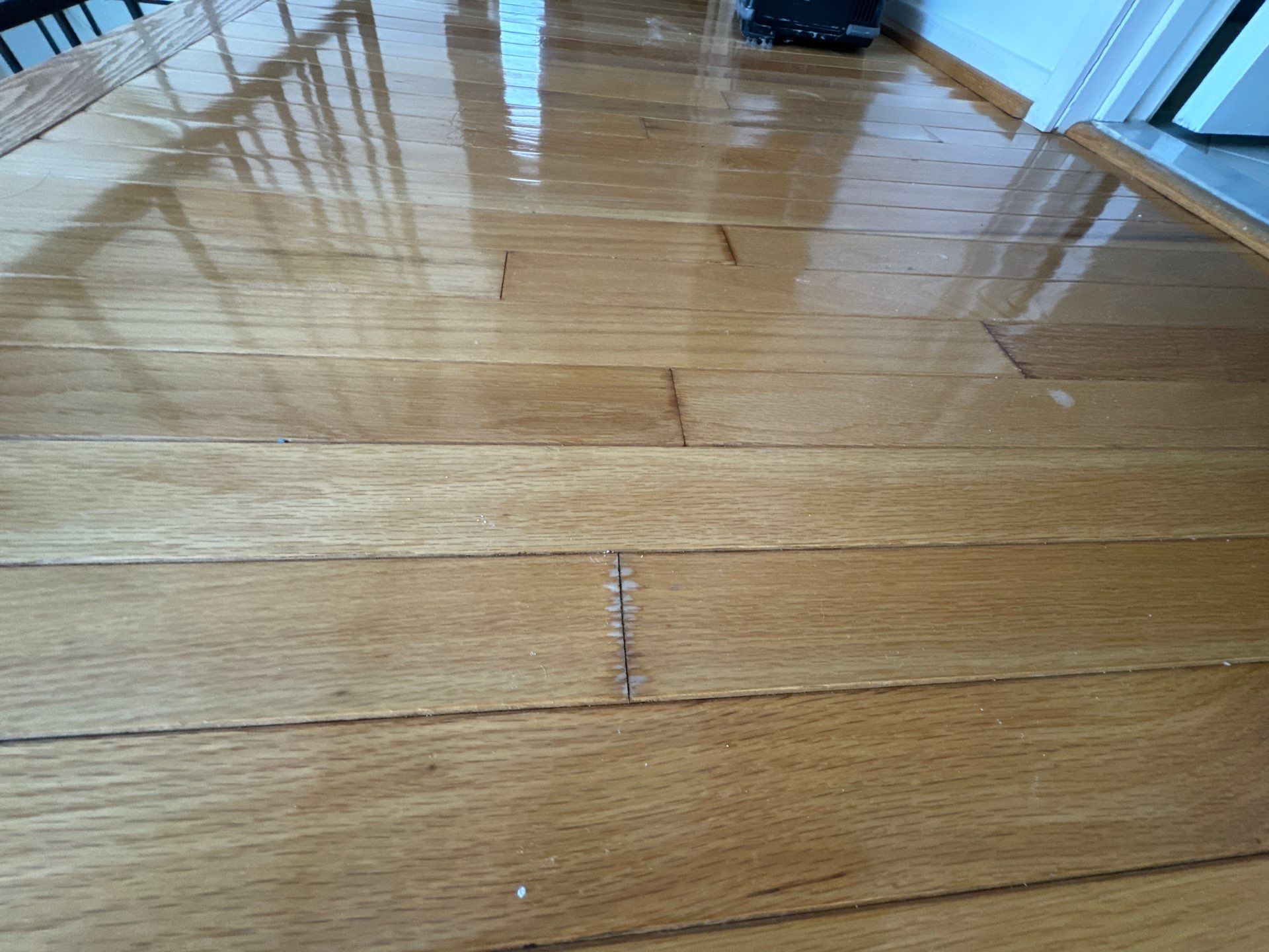 Moisture inspection mapping in progress, showing drying progression in Fairfax restoration job.