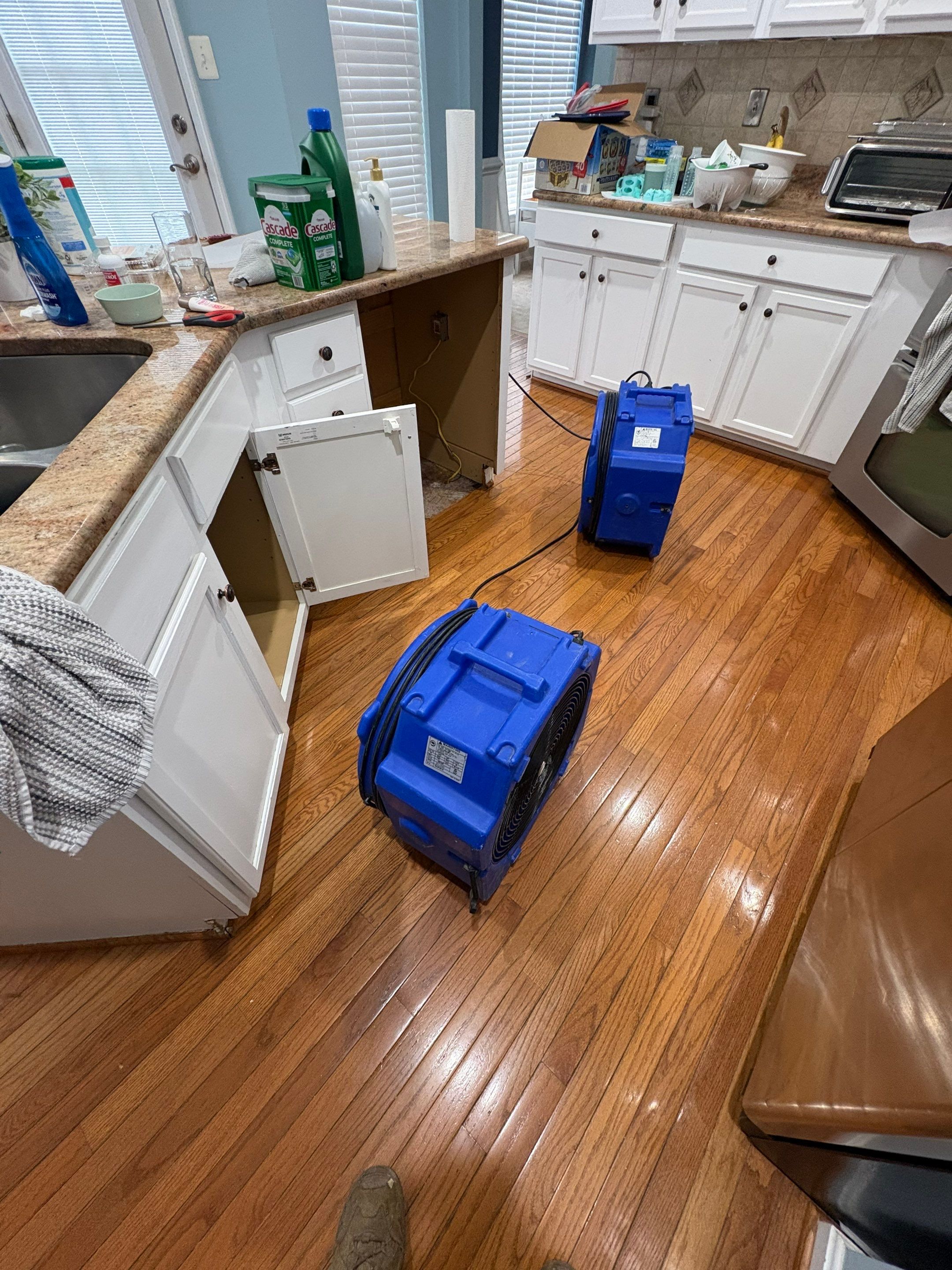 Dehumidification and air circulation during final drying phase of mold remediation process.
