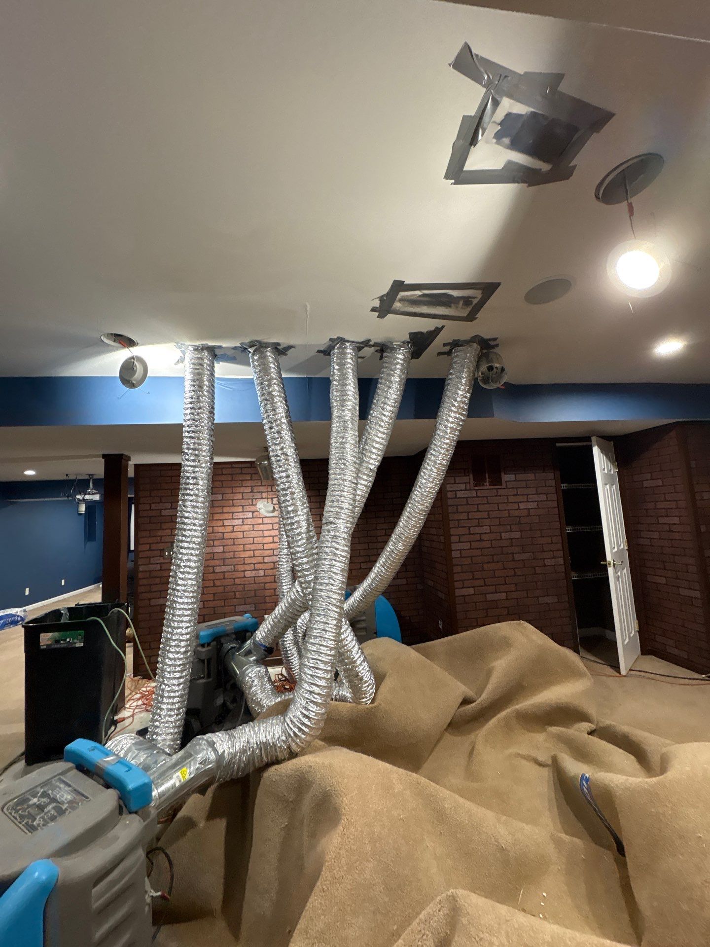Containment and remediation work underway on compromised ceiling materials in mold-affected area.