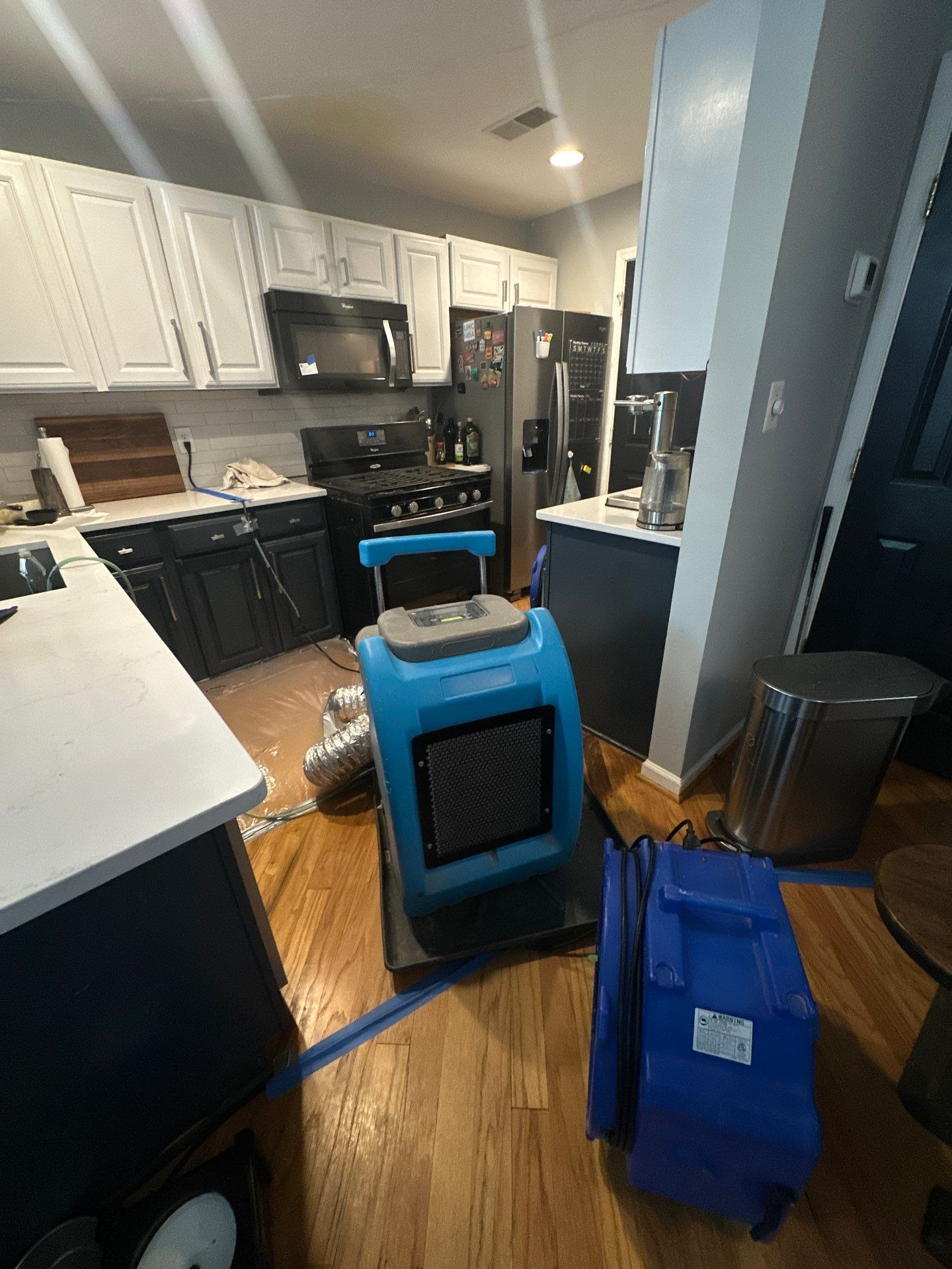 Thermal imaging scan identifying moisture patterns during mold remediation in Alexandria.