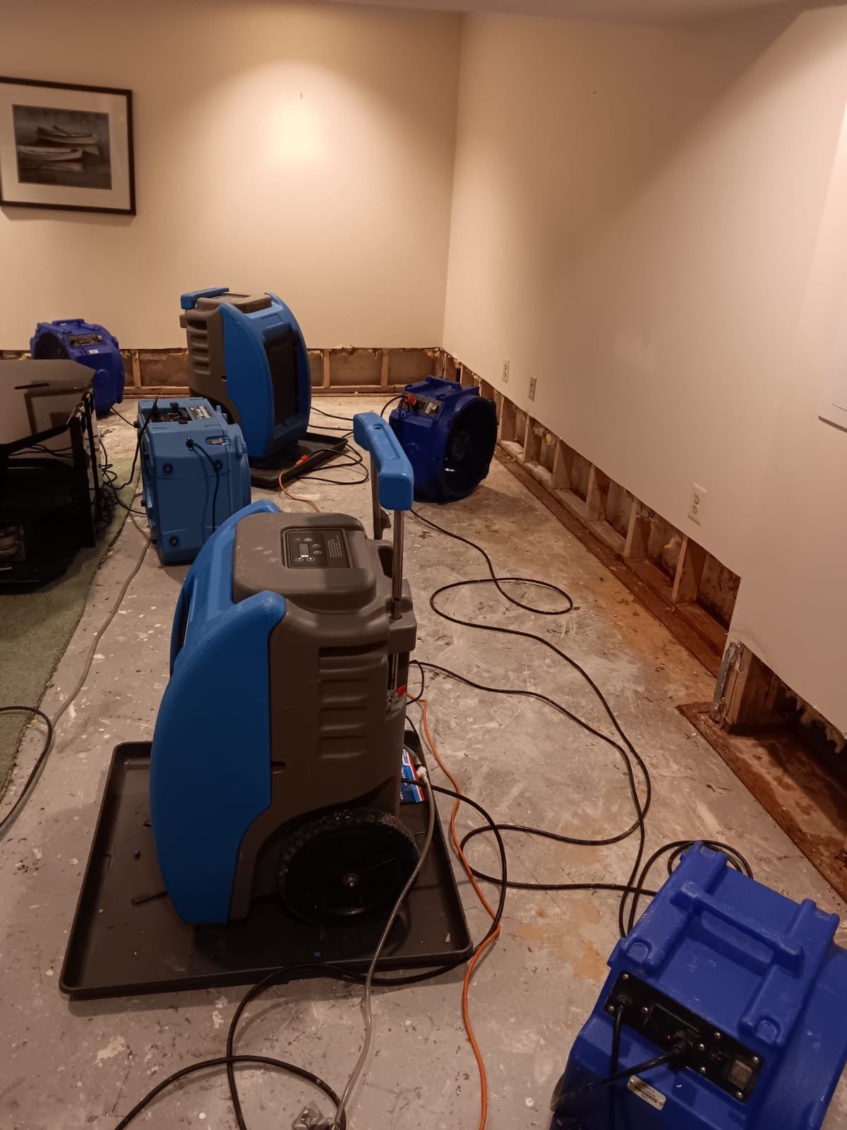 Damaged sideboard material removed, exposing substrate for cleaning and antimicrobial treatment in Reston.