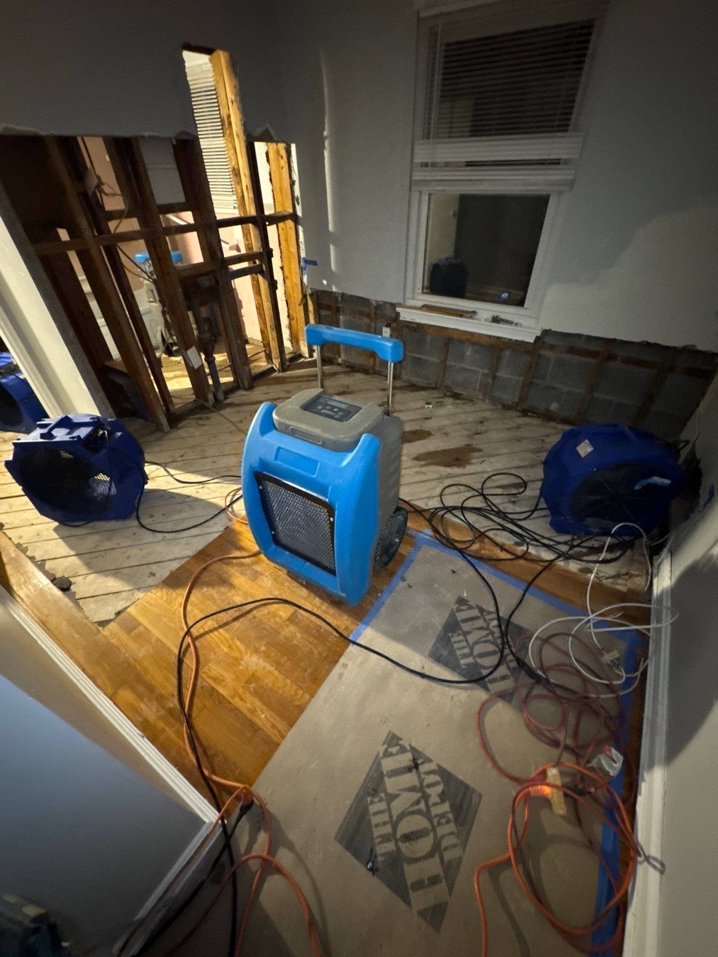 Thermal imaging camera documenting moisture patterns in ceiling during Arlington water damage assessment.