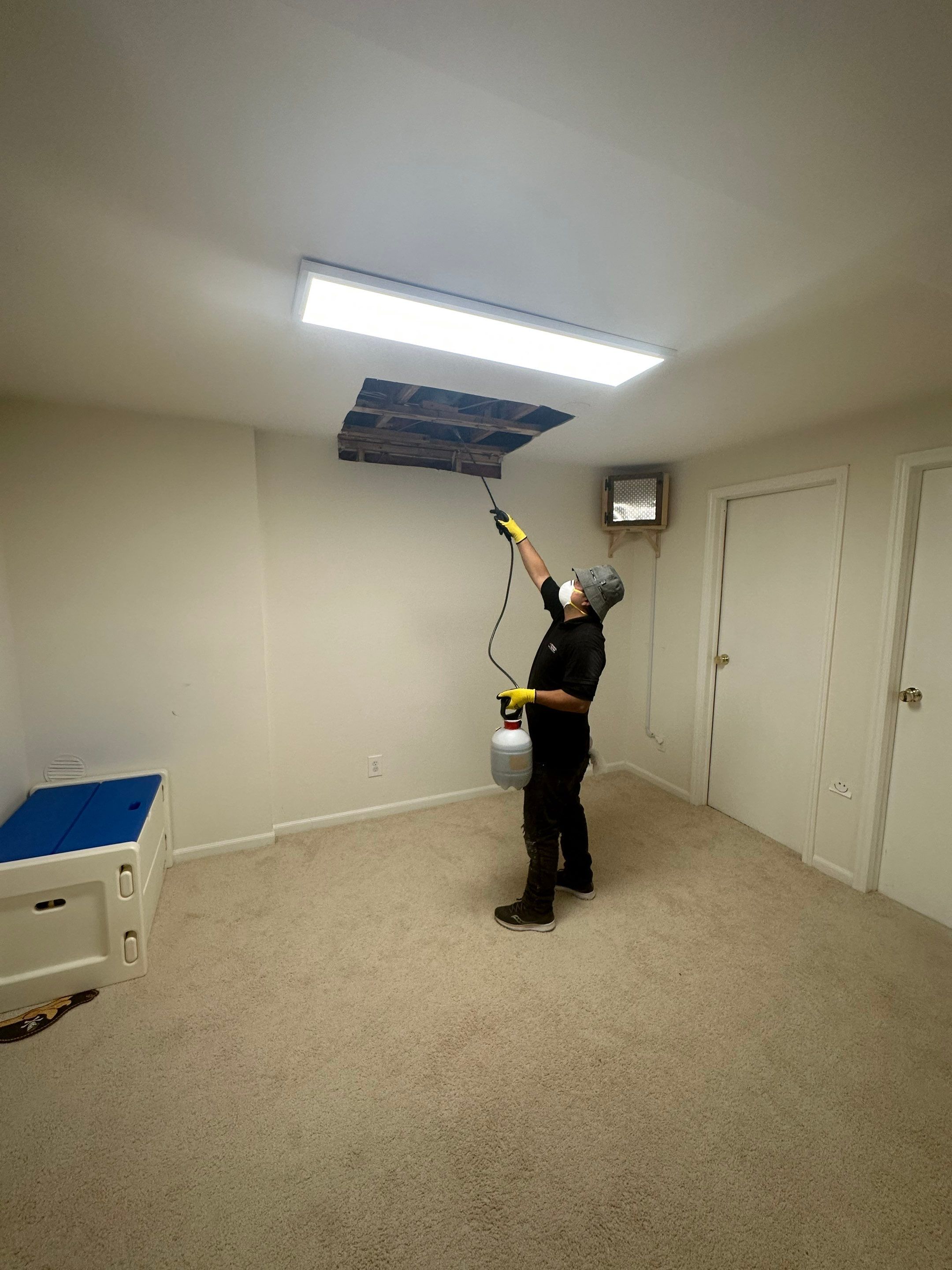Moisture mapping equipment monitoring drying progress across affected building materials.