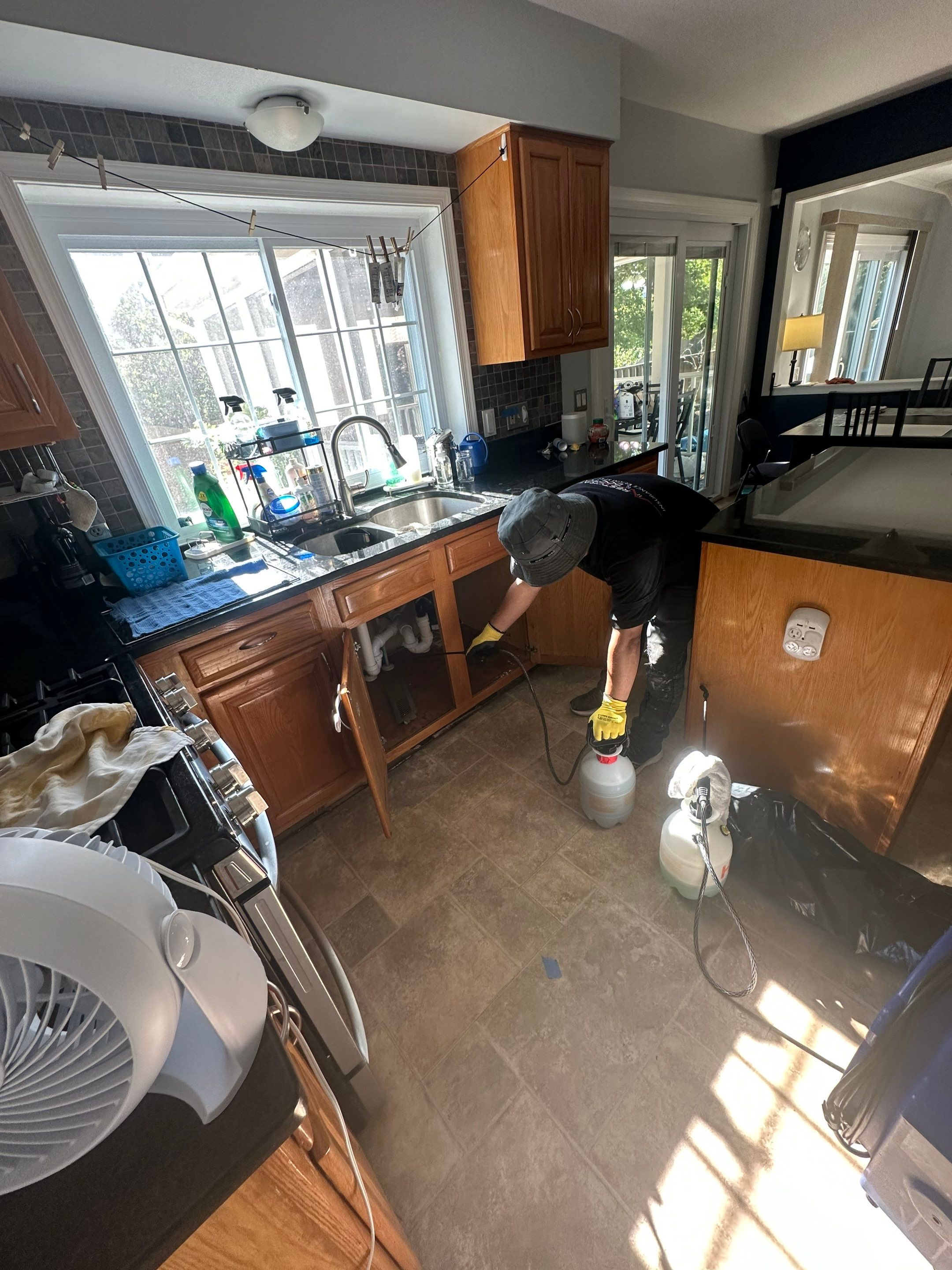Final thermal inspection confirming moisture levels normalized after water restoration completion.