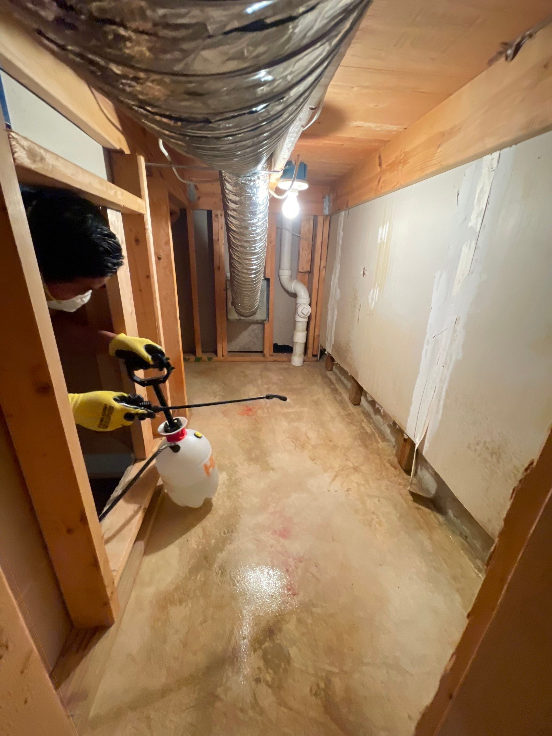Thermal imaging reveals moisture distribution across framing during Springfield water damage assessment.