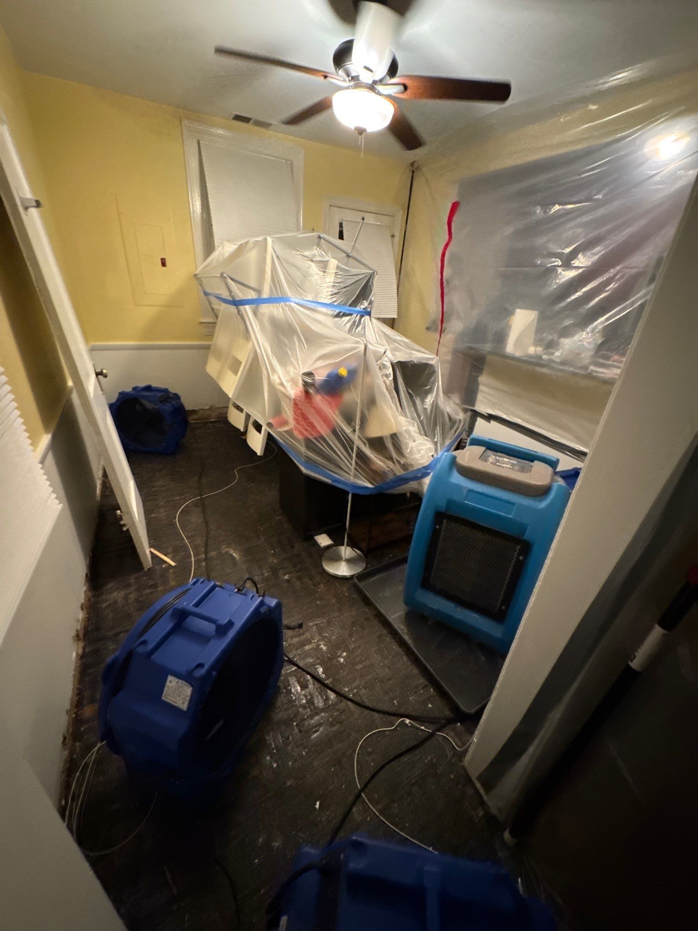Continued structural drying and protected contents during Arlington mold remediation sequence.