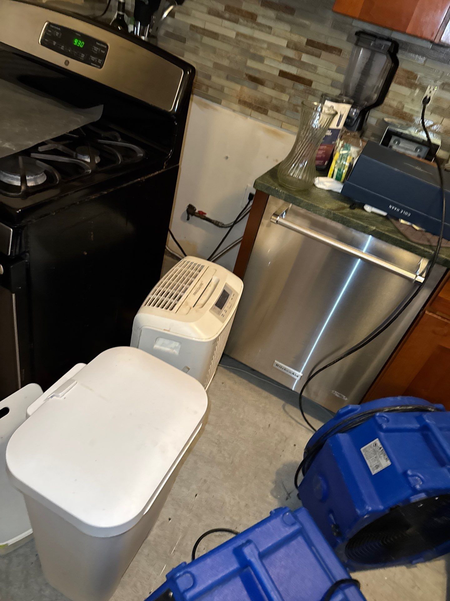 Mold remediation in Arlington begins with structural assessment and equipment placement for drying and contents protection.