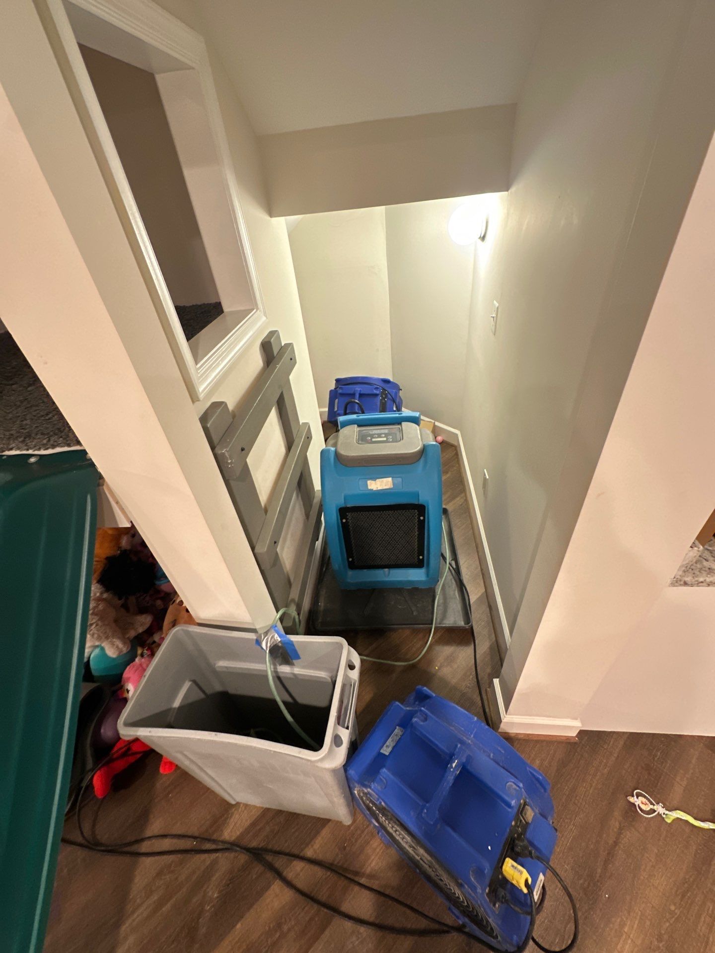 Dehumidification and air movement equipment deployed for structural drying in mold remediation.