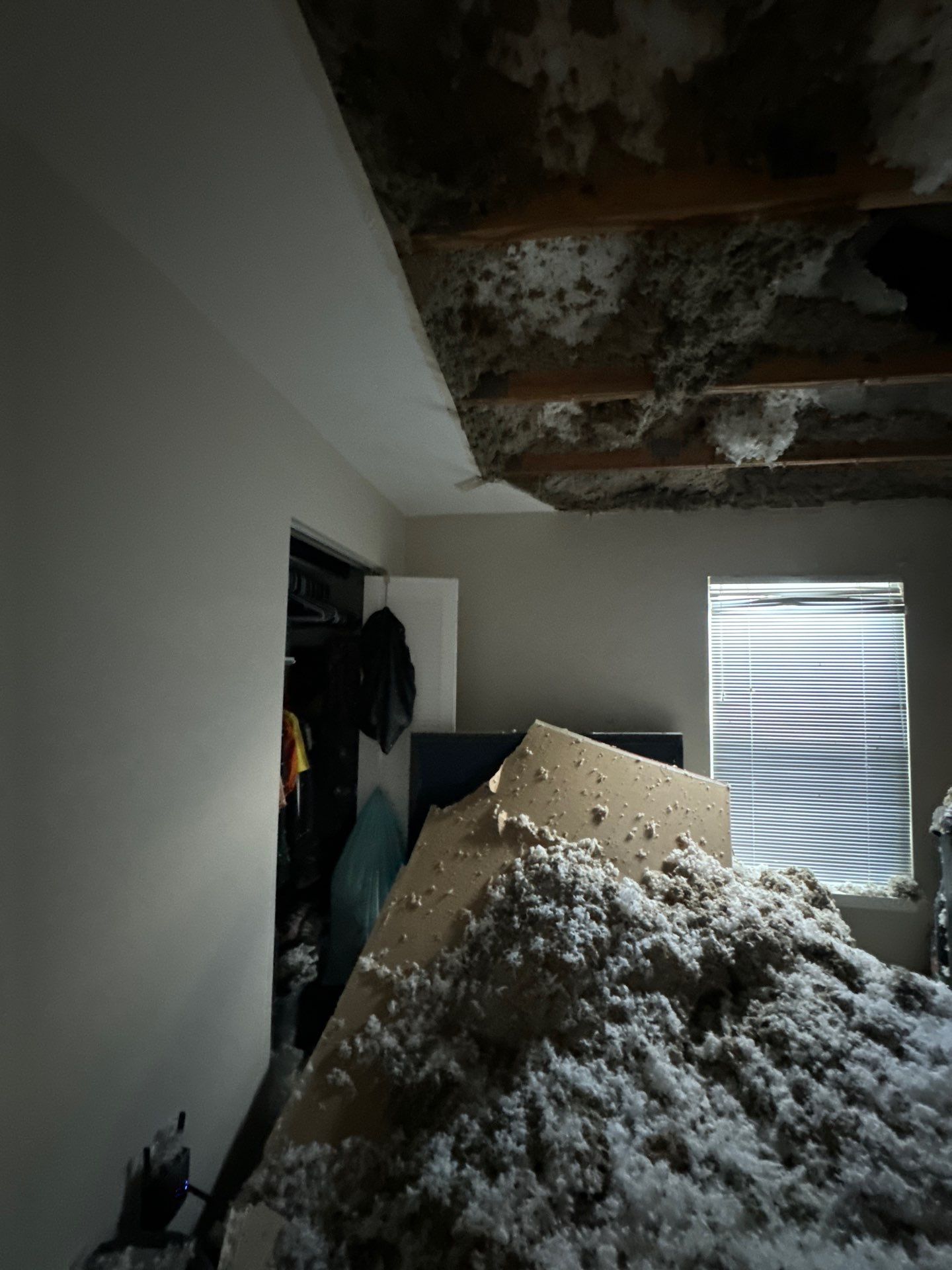 Standing water extraction underway in Alexandria water damage restoration, wet flooring visible.