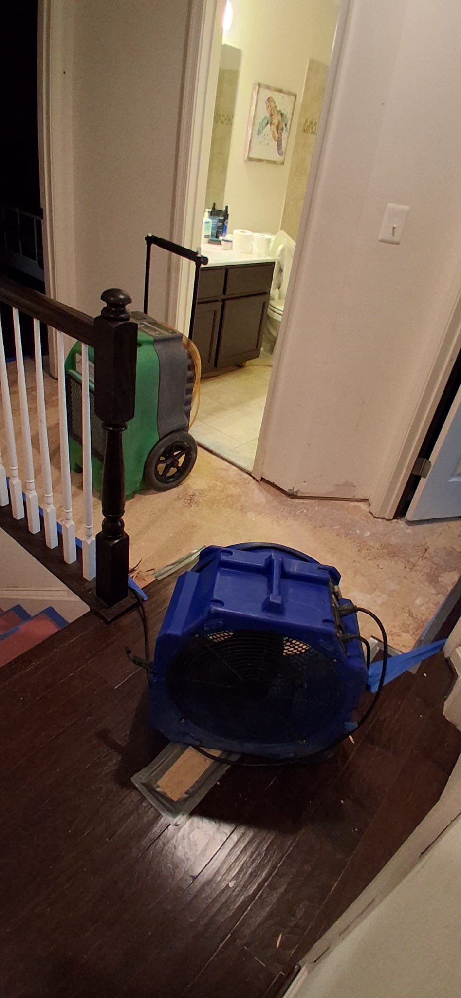 Continued structural drying and removal of contaminated flooring during Round Hill mold remediation.