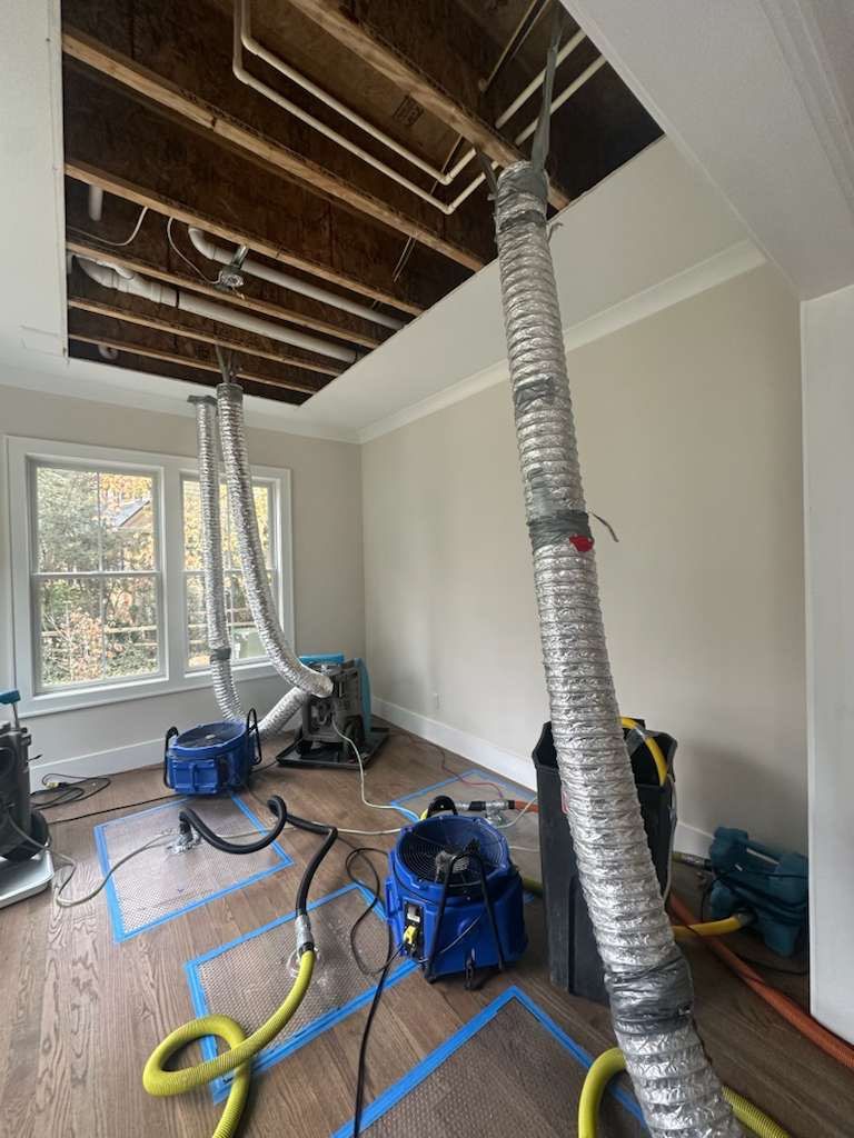 Continued structural drying with thermal inspection documenting moisture reduction in affected materials.