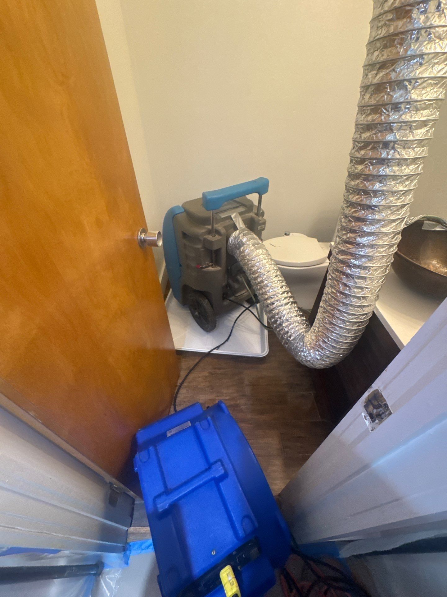 Standing water extraction and initial assessment during mold remediation in Reston.