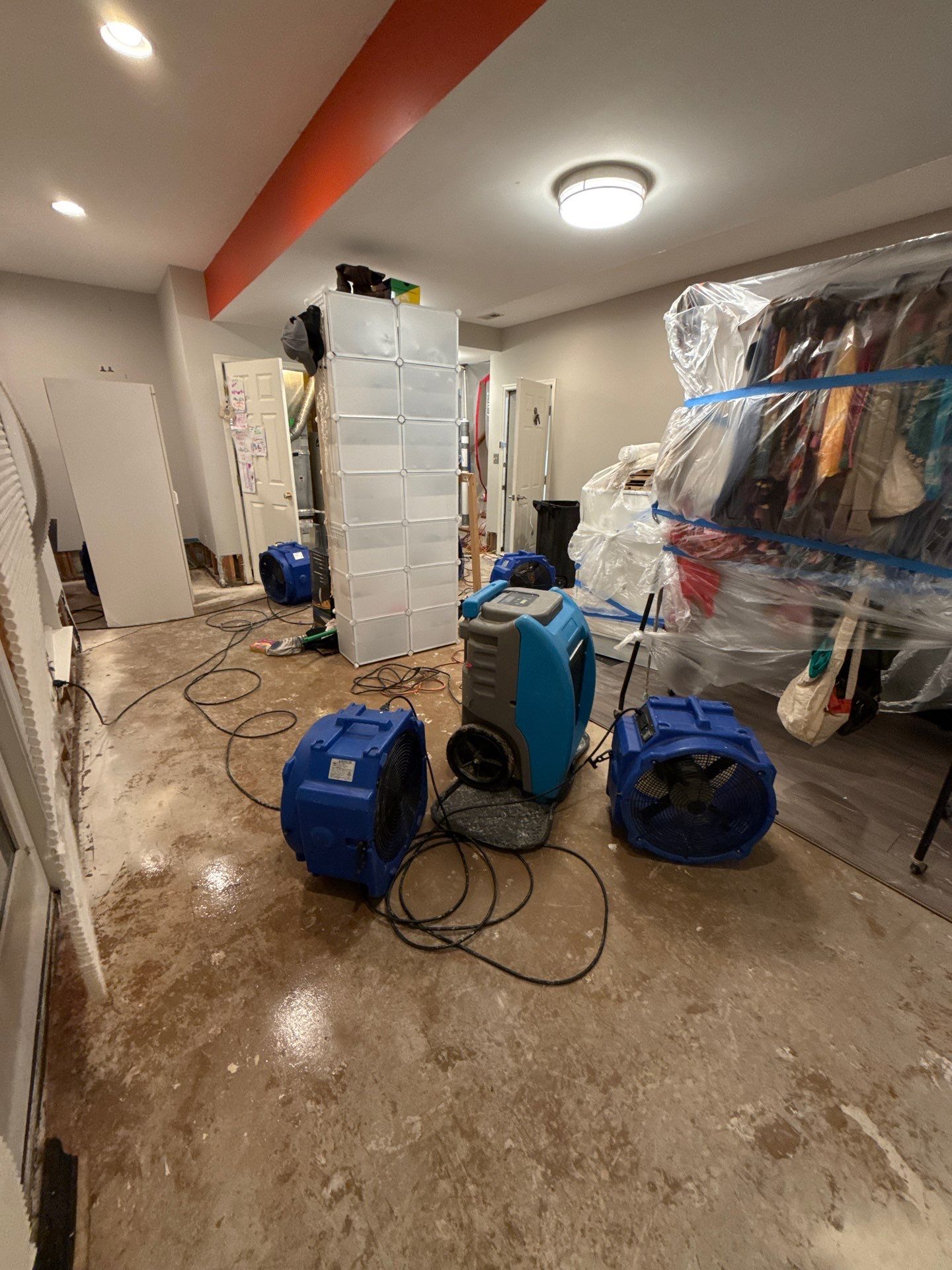 Flooring and carpet removal in progress, exposing substrate for inspection and treatment.