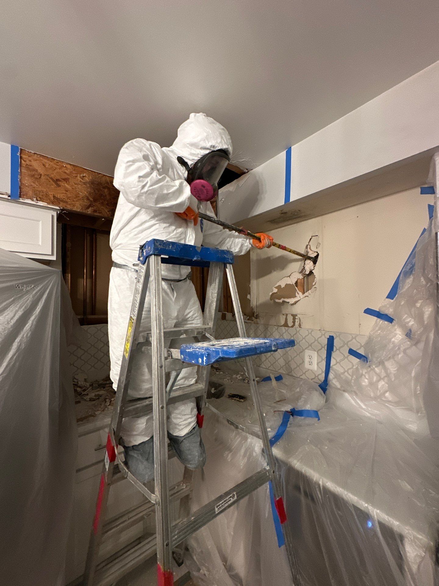 Drying and air management equipment operating within contained mold remediation zone.