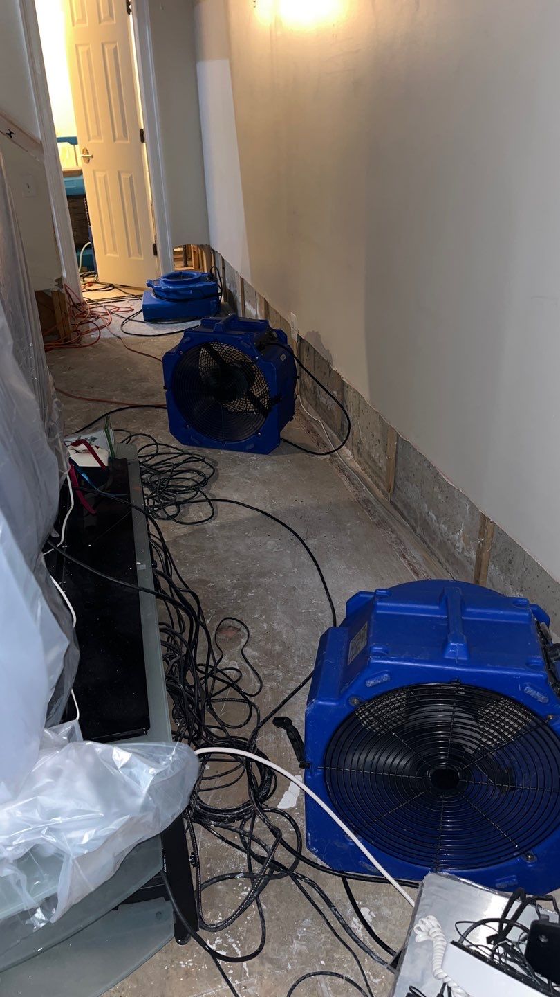 Dried and sanitized interior space after water damage restoration work concluded in Annandale.
