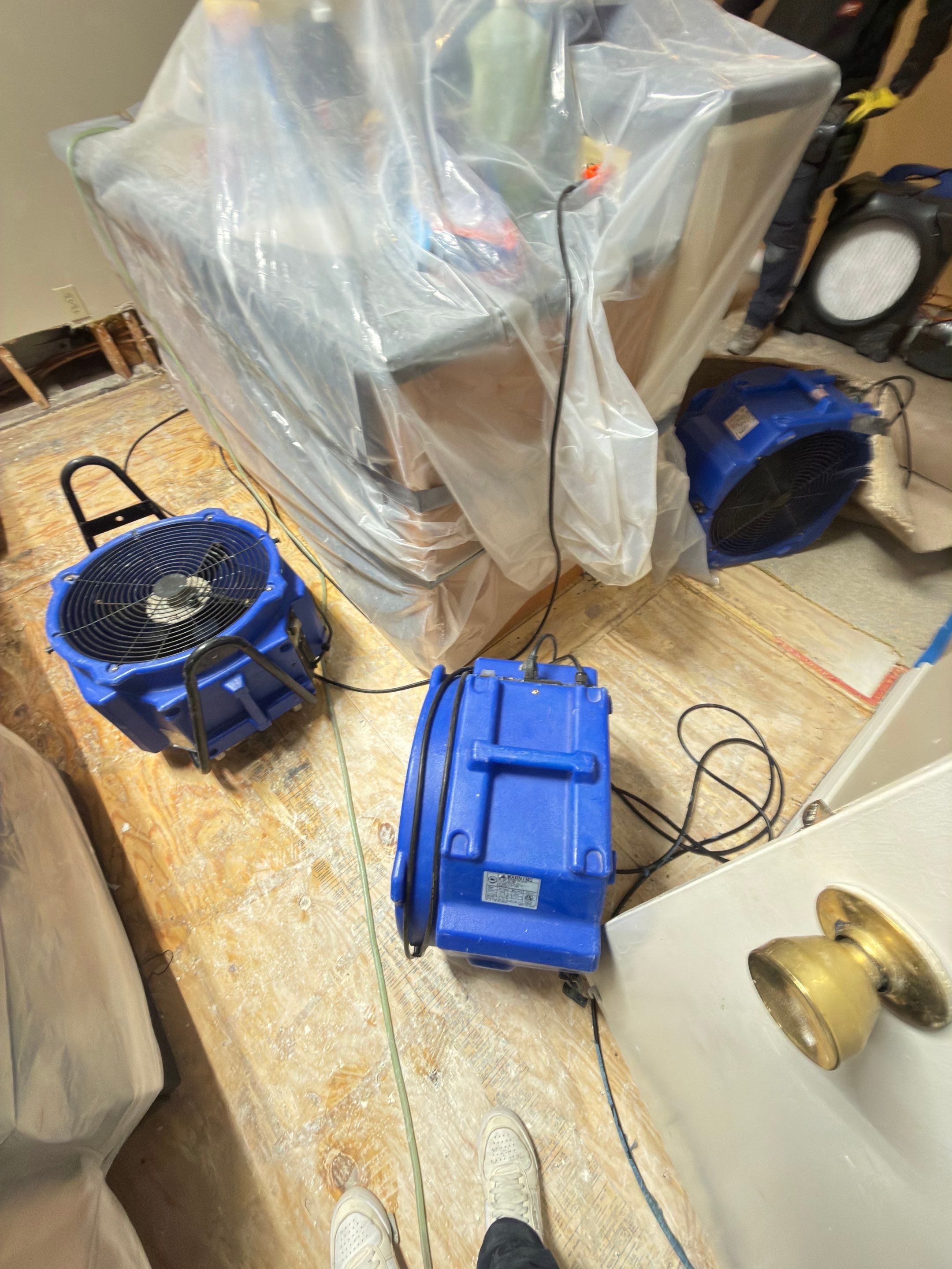 Standing water removal begins mold remediation in Fairfax basement.