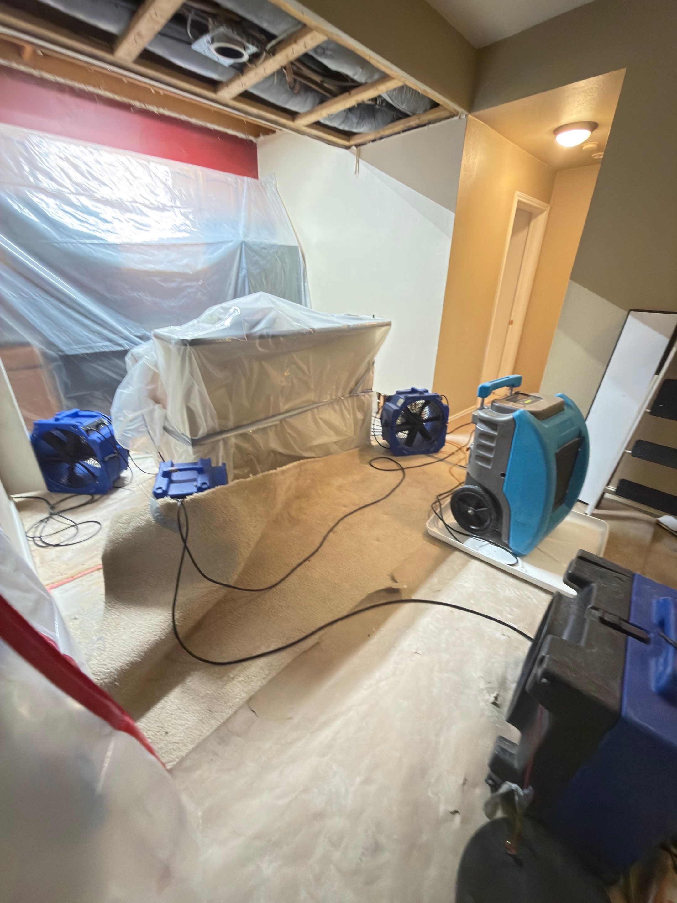 Wall cavity inspection after extraction and initial drying.