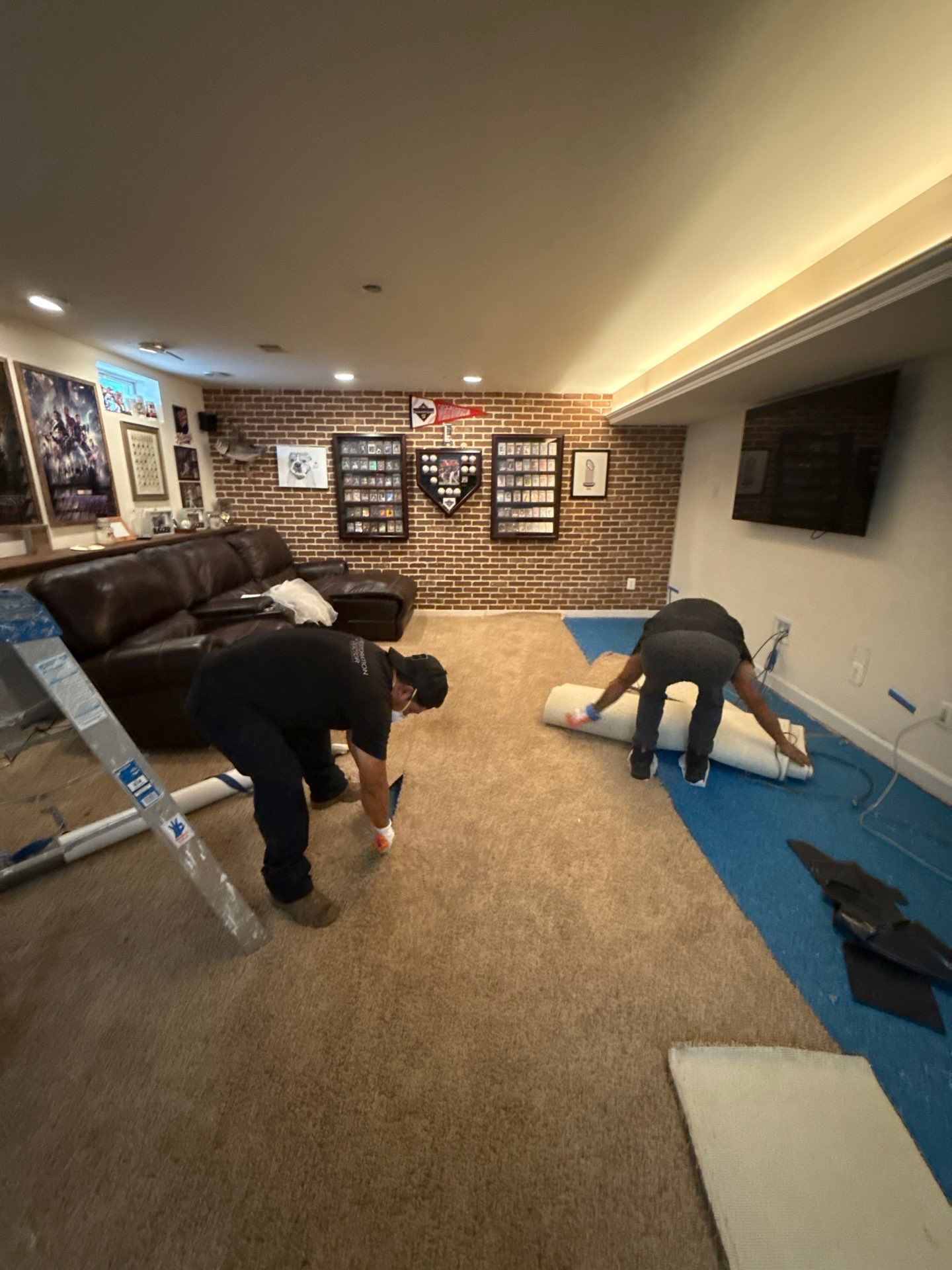 Carpet removal and disposal as part of containment and remediation protocol.