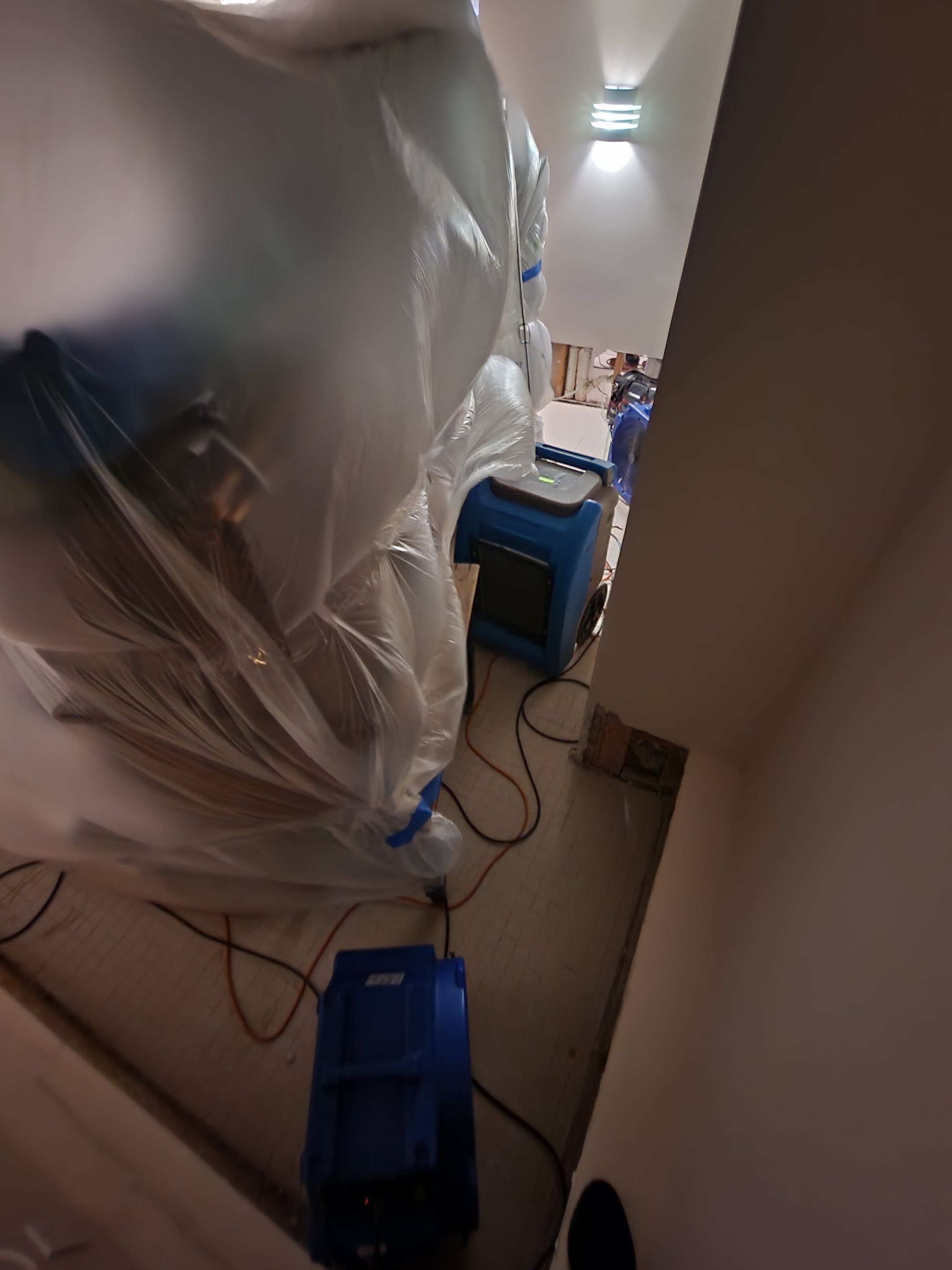 Final-stage drying complete, sanitized surfaces ready after Washington water damage restoration.