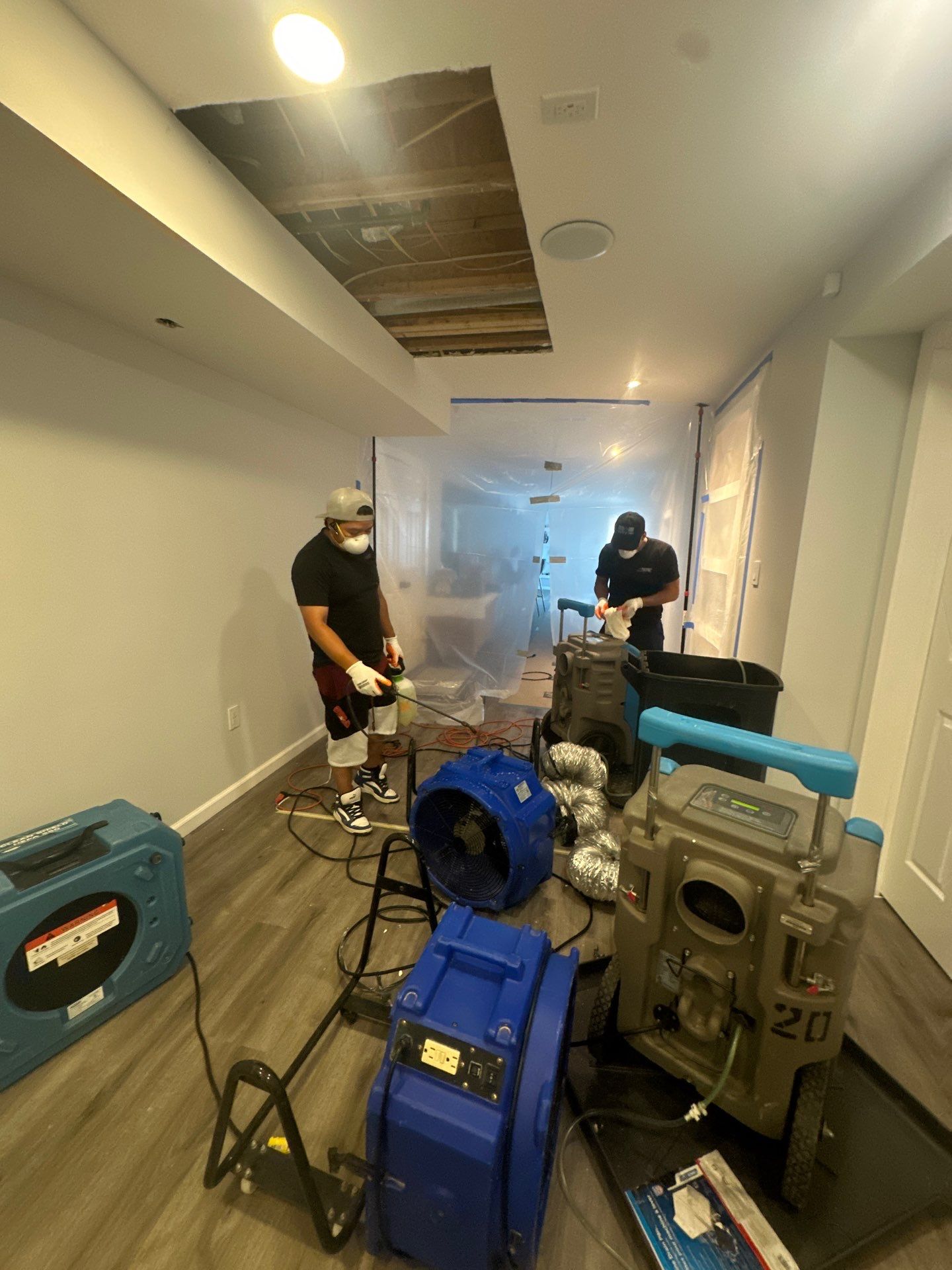 Moisture monitoring and structural assessment during mold remediation in Washington.