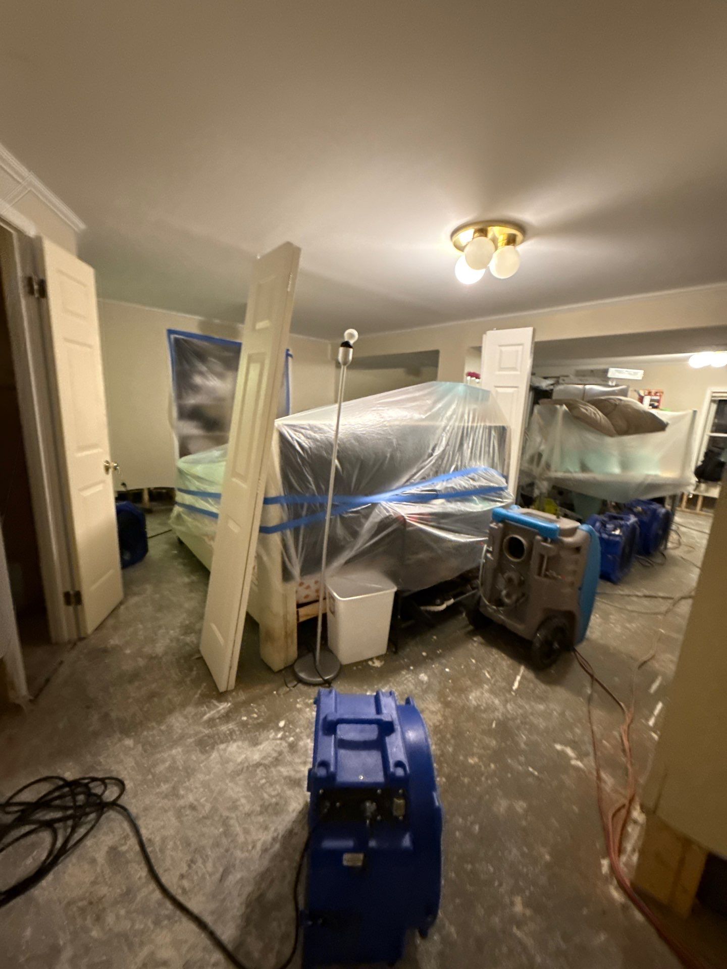 Flooring assessment showing water-saturated carpet ready for remediation.
