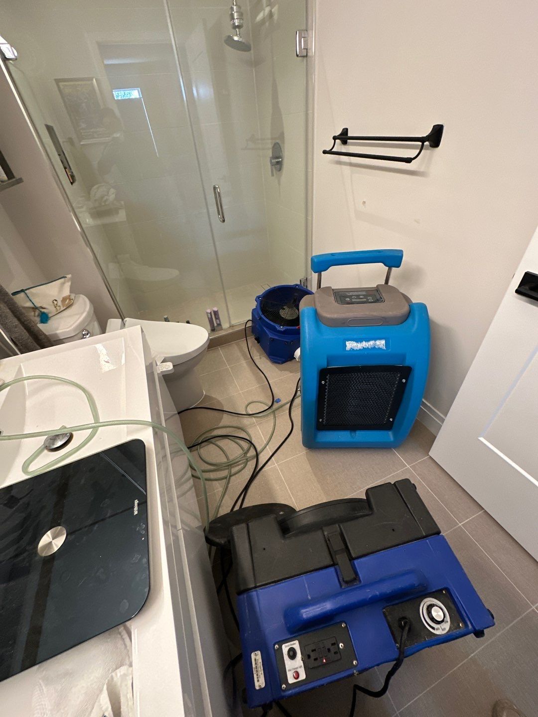 Final inspection of dried structural materials following water damage restoration and mold remediation in Washington.