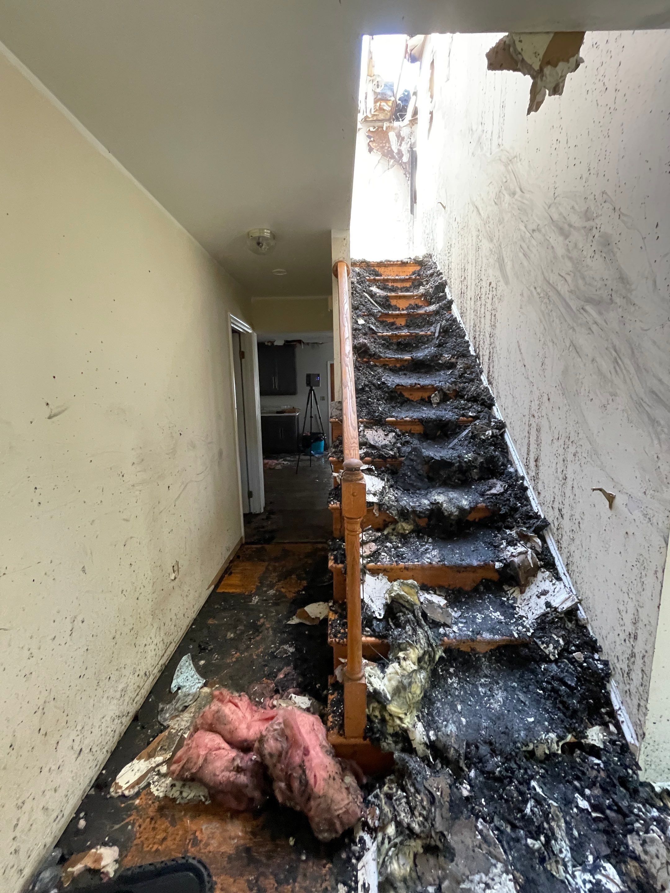 Standing water extraction underway during mold remediation in Frederick, removing pooled moisture from affected flooring.