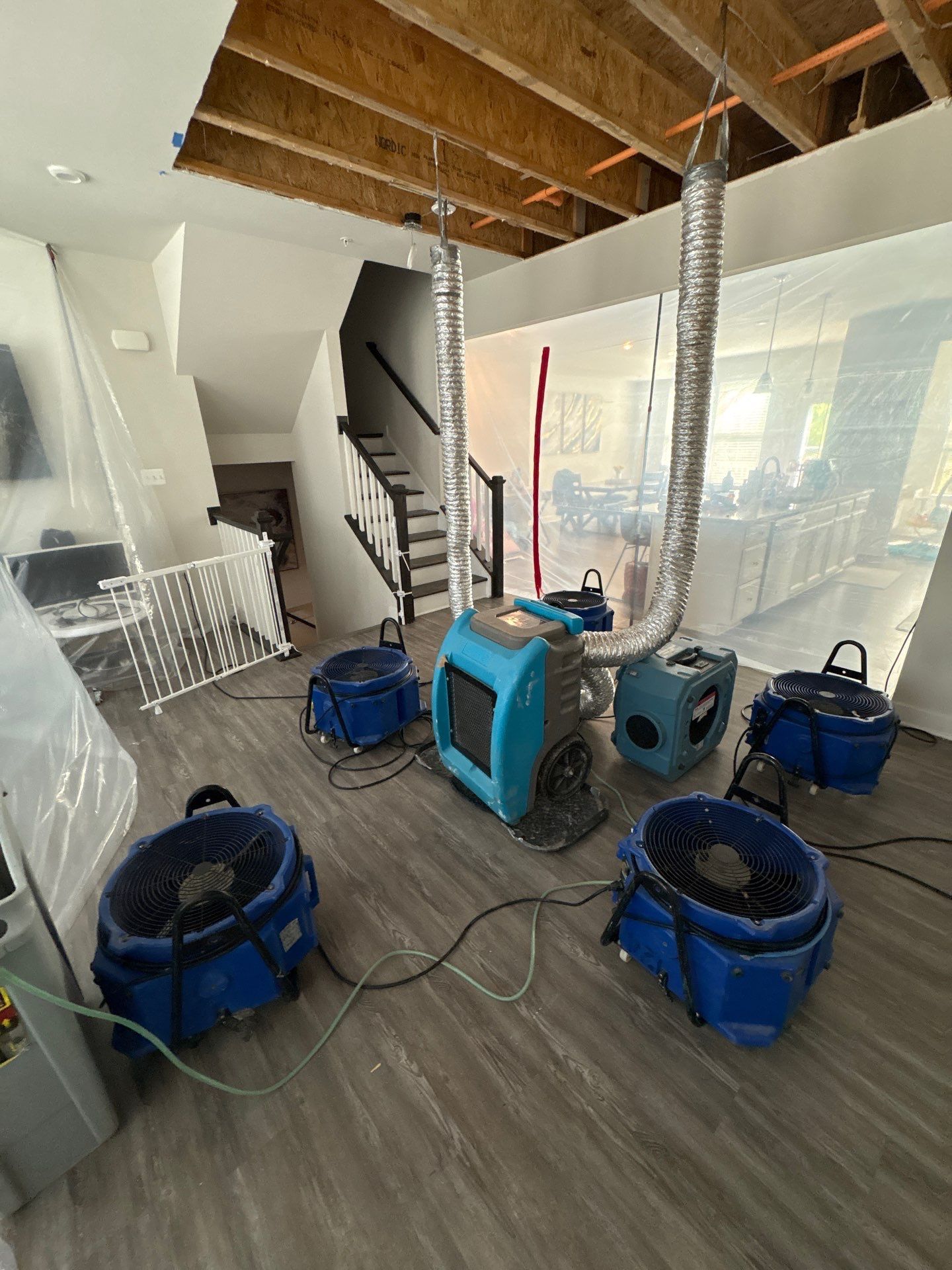 Structural drying equipment positioned within containment to manage moisture during mold removal.
