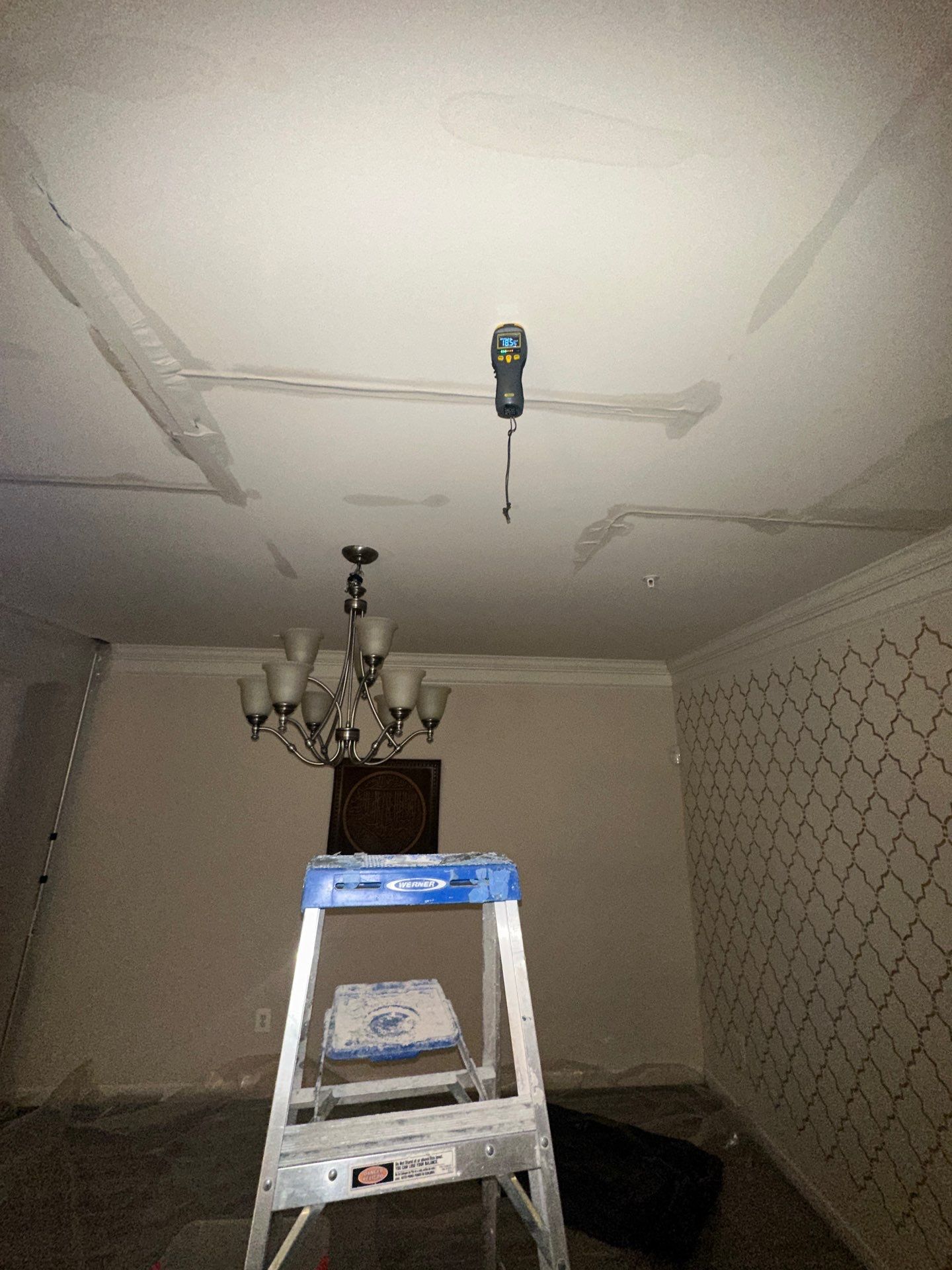 Damaged ceiling material removed and bagged during mold remediation containment phase.
