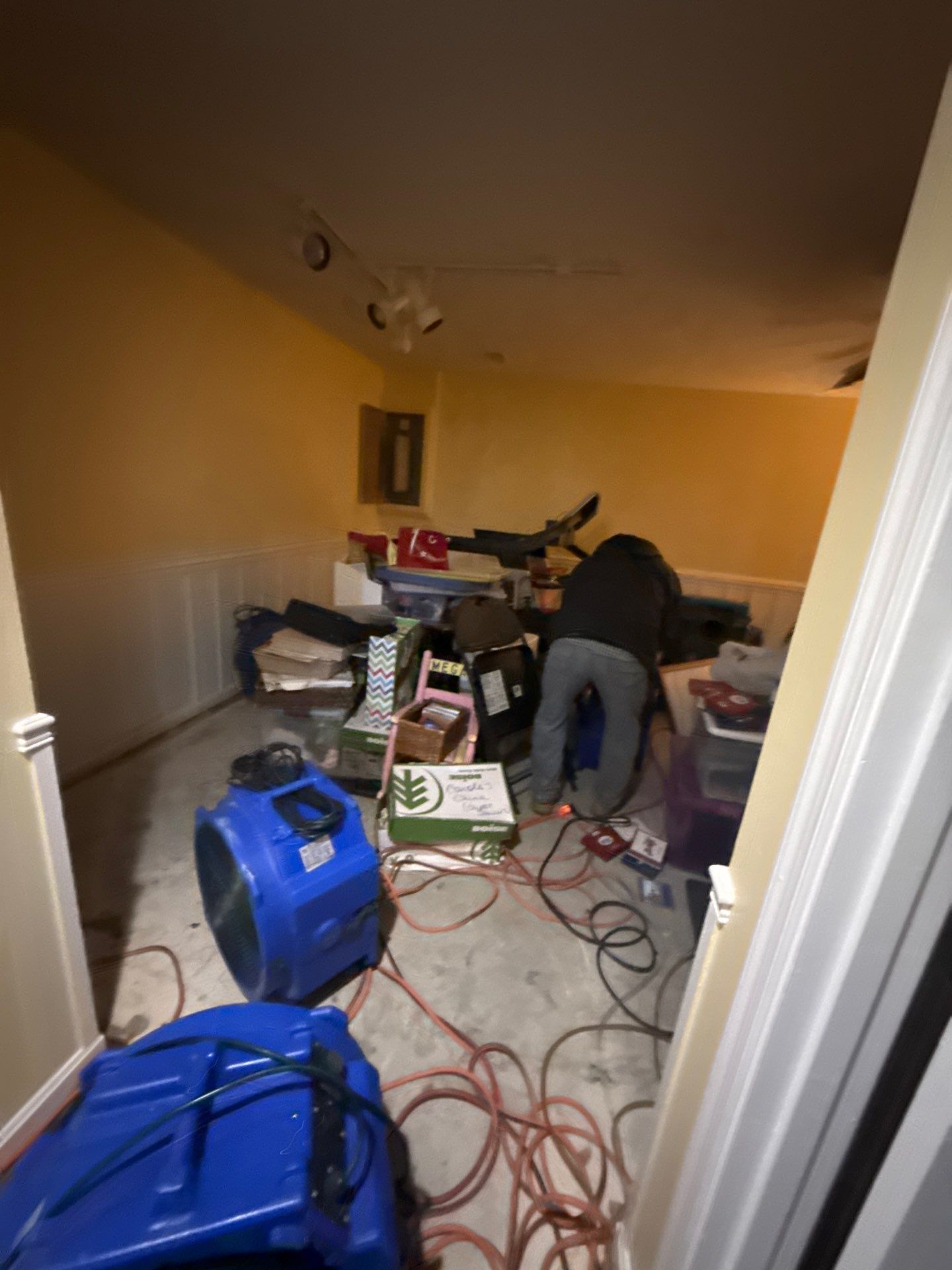 Ceiling section removed to expose framing and allow thorough drying of affected structural areas.