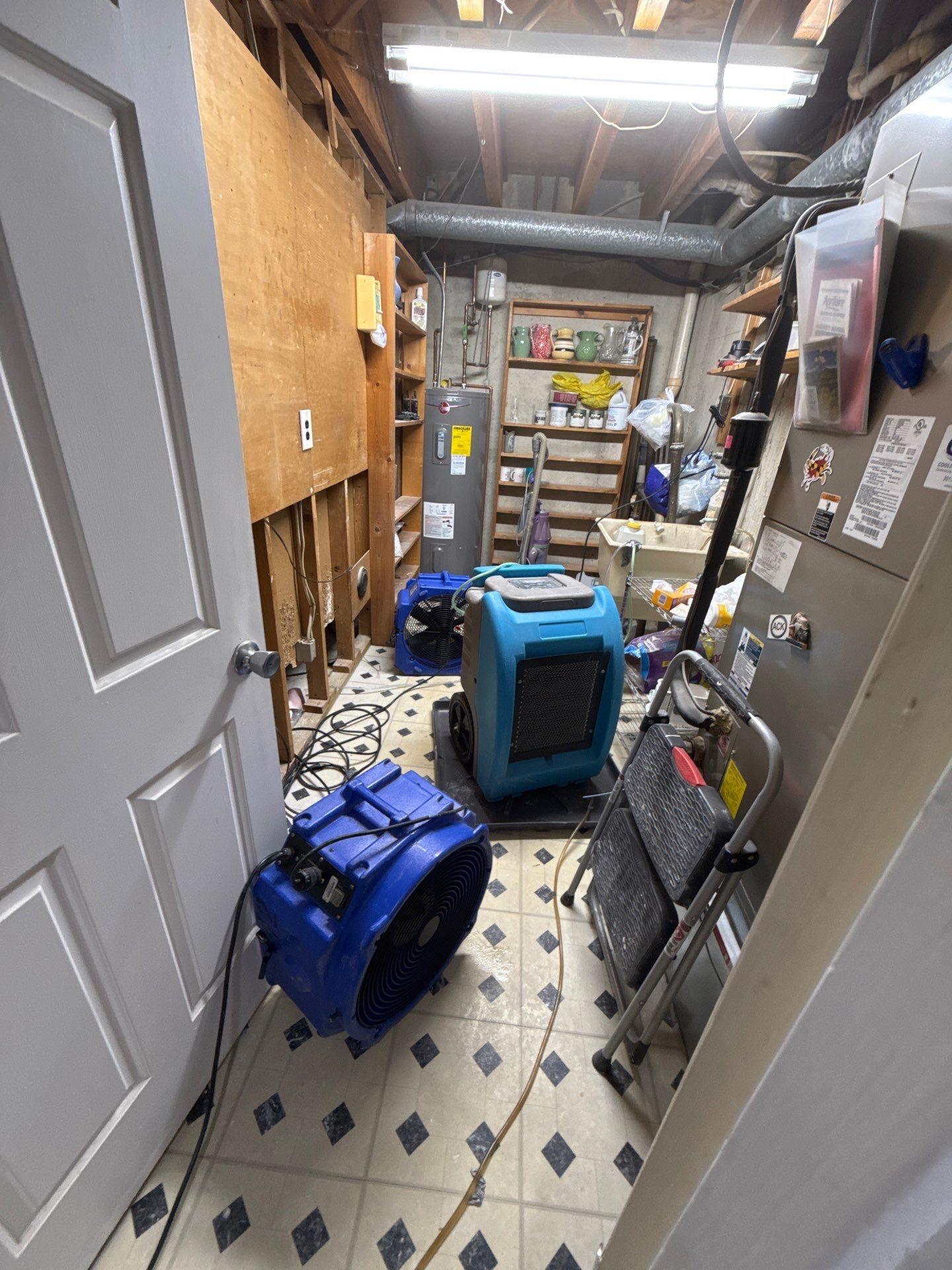 Dehumidifier and air movers running during active drying phase of mold remediation work.
