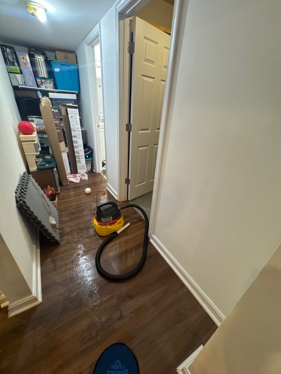 Final moisture verification and dehumidifier removal completing Potomac water restoration.