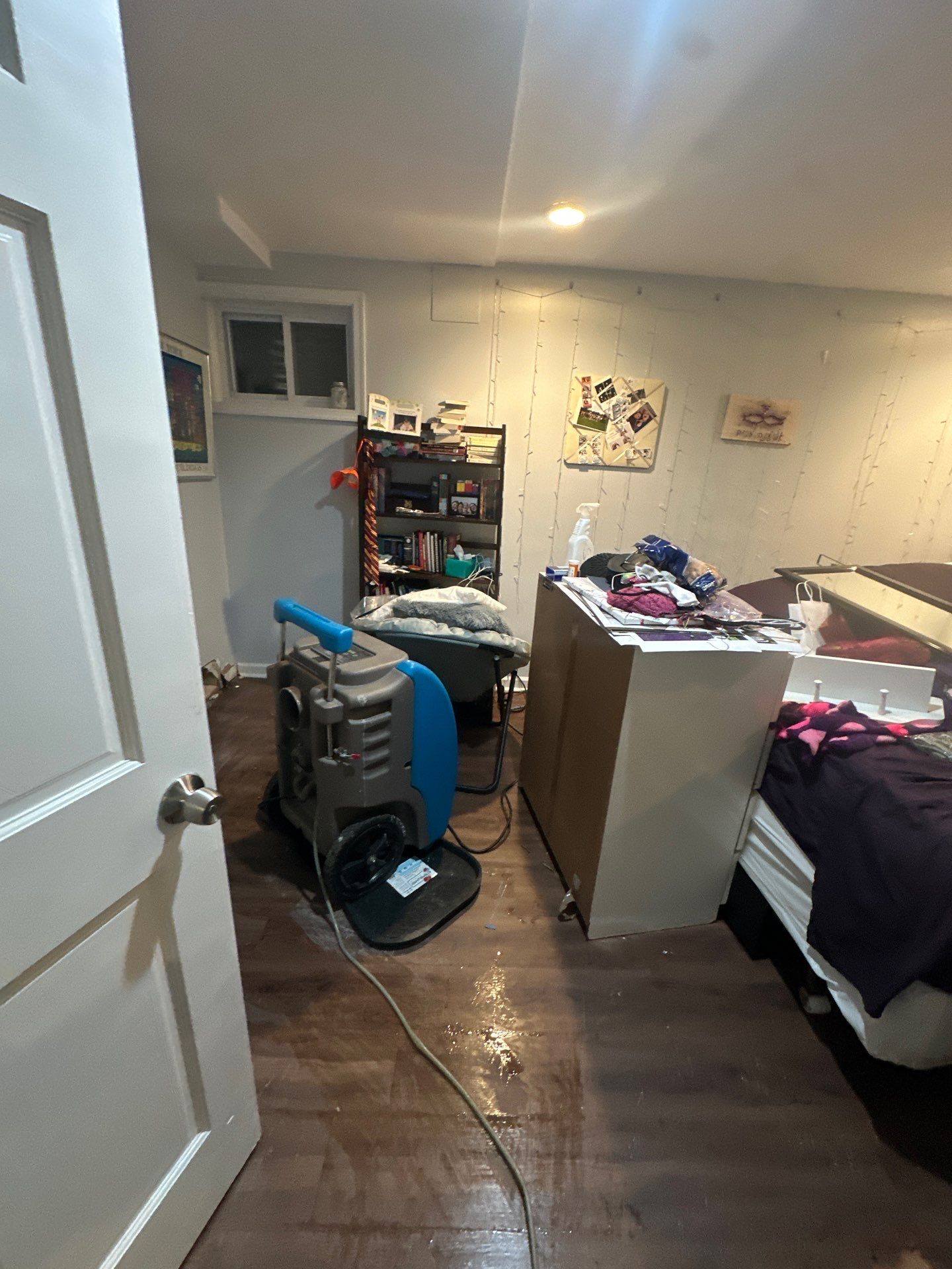 Thermal imaging moisture inspection during water damage drying process in Potomac.
