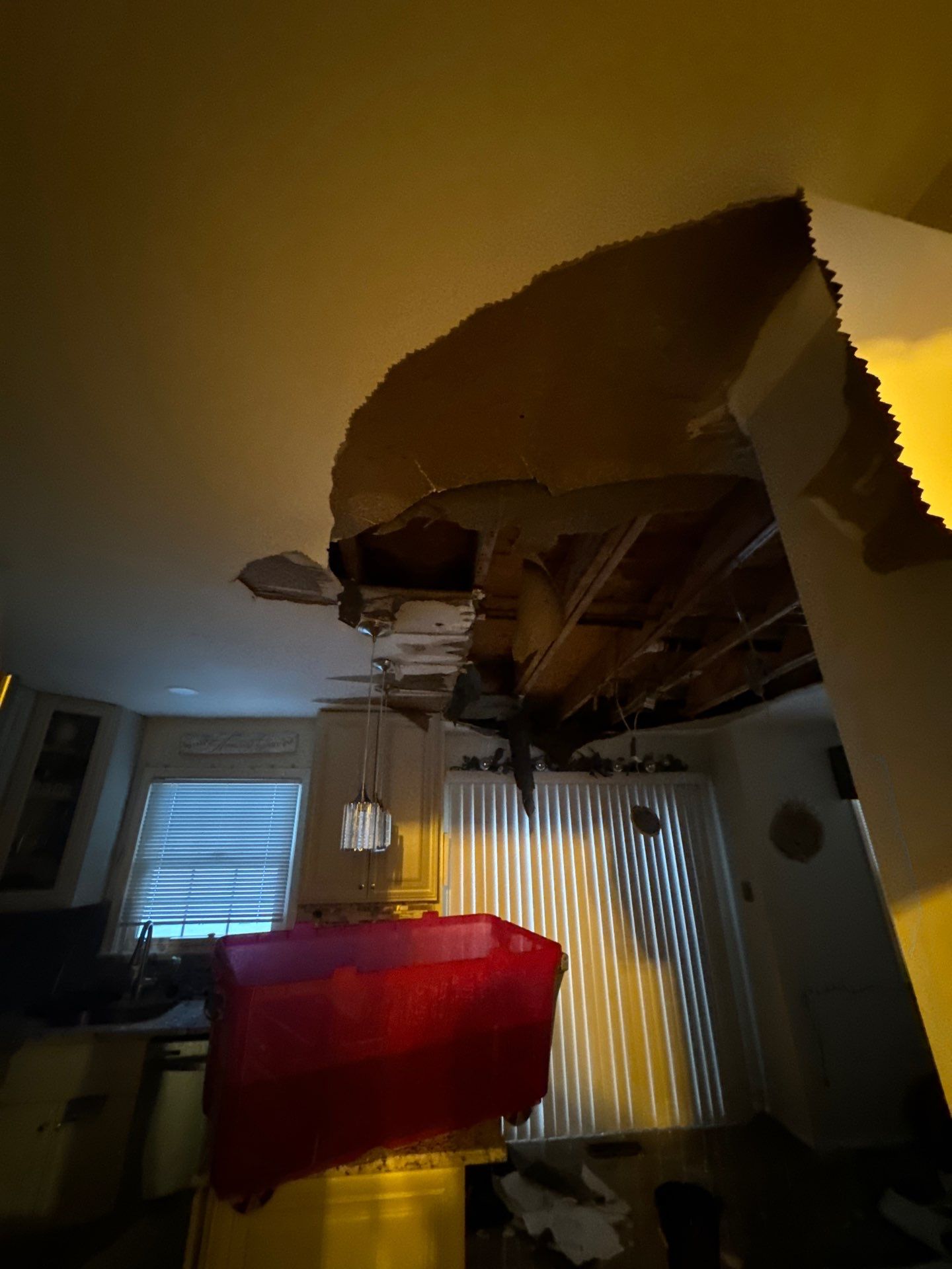 Repaired ceiling reinstalled and finished after mold remediation completion in Silver Spring.