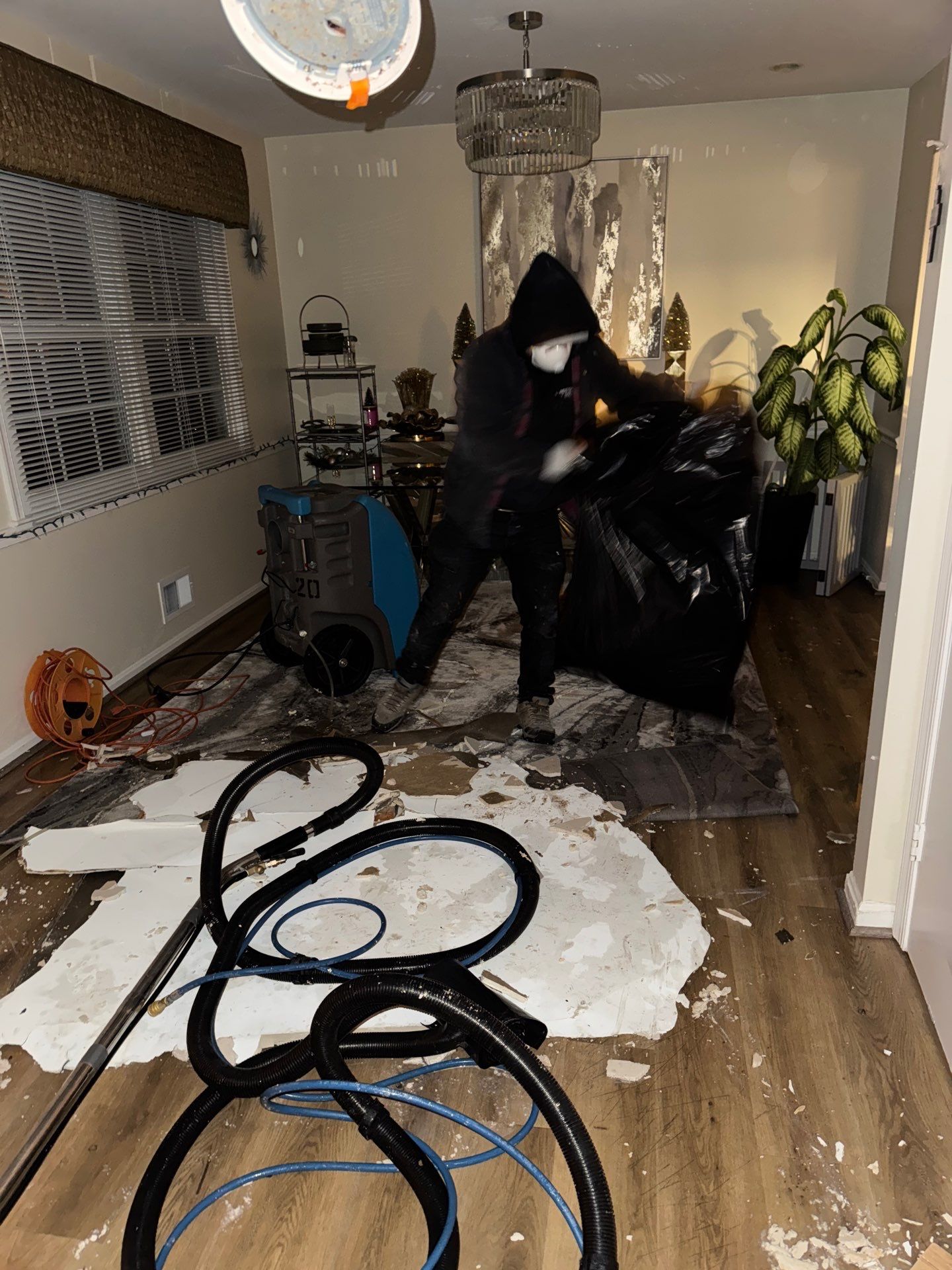 Affected ceiling material removed and disposed during mold remediation process.