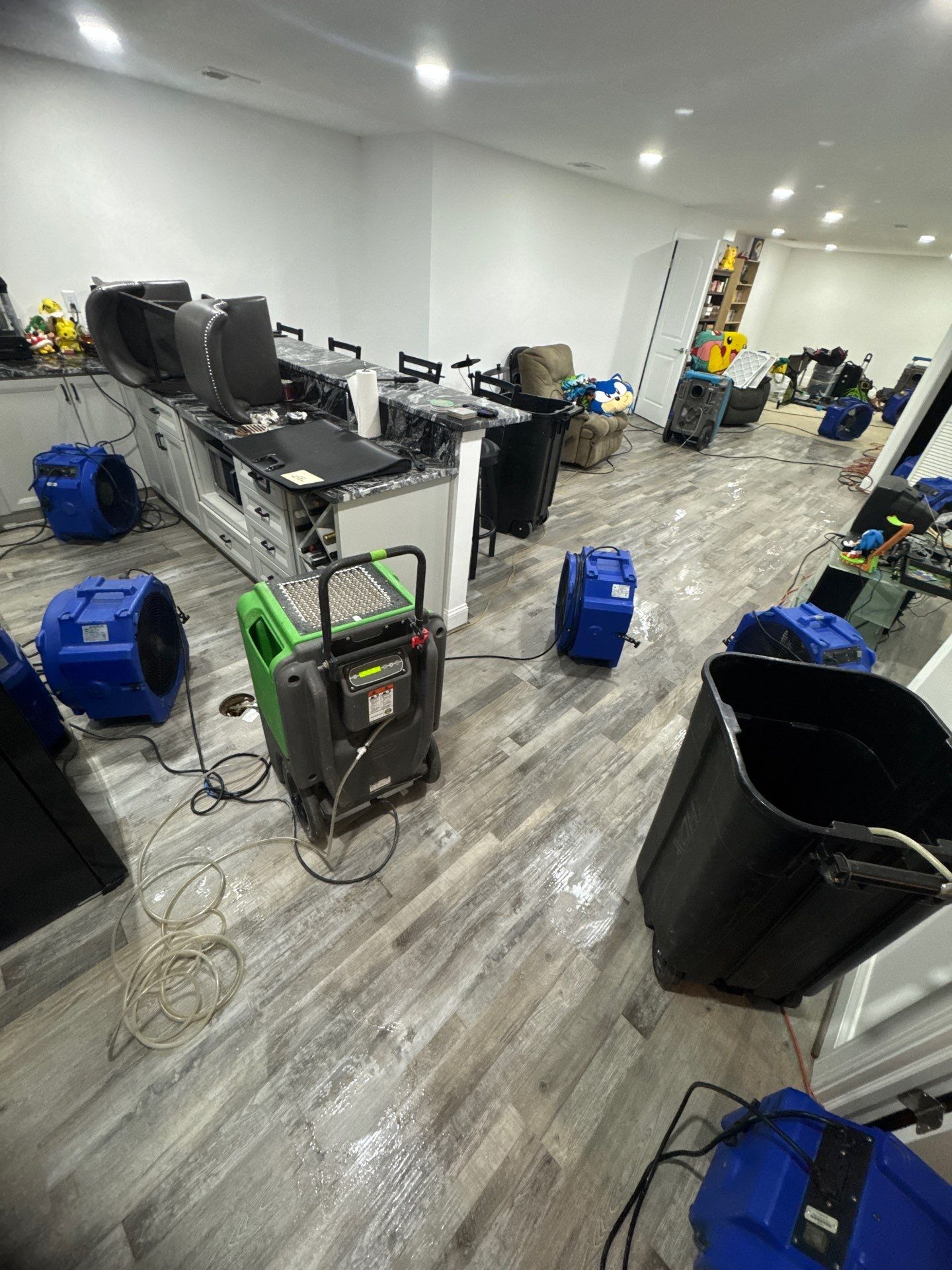 Carpet and flooring removal exposing substructure for thorough drying and mold treatment.